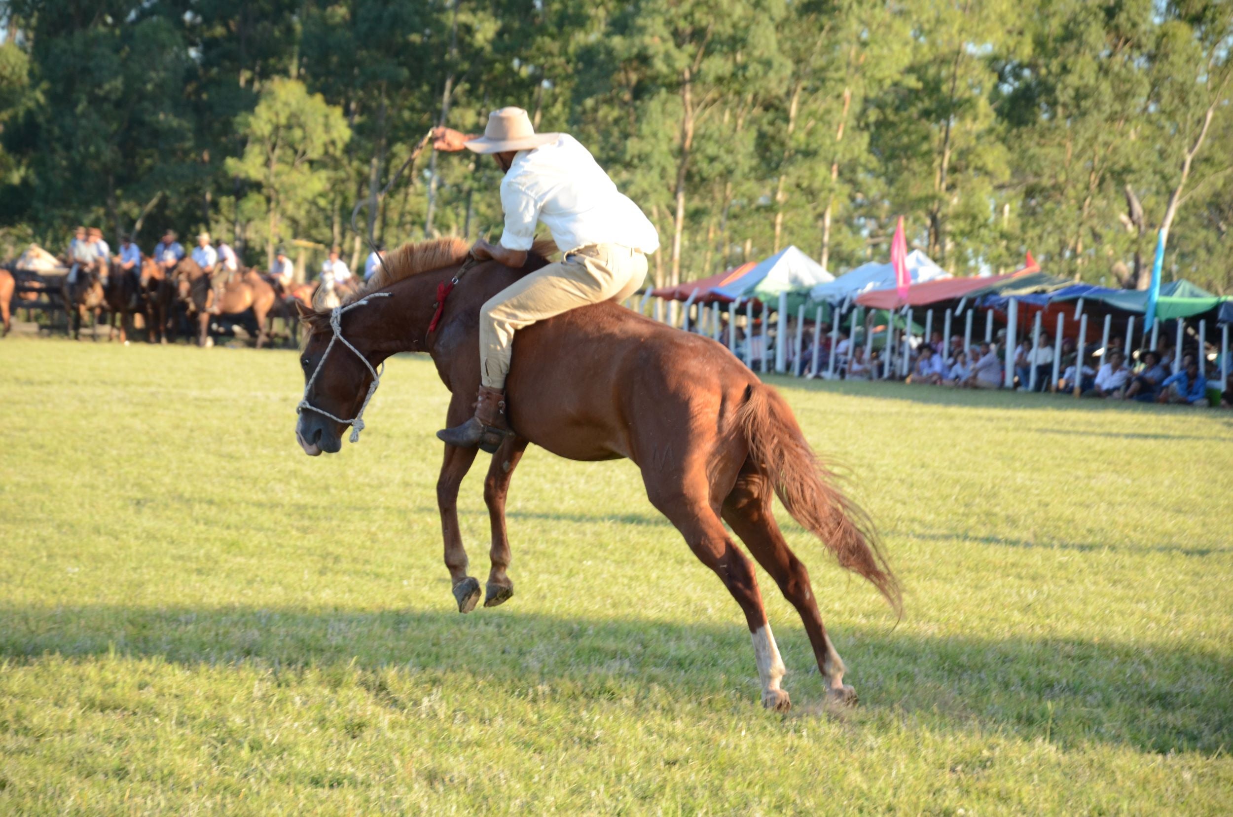 At the rodeo