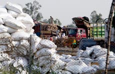 Pakistan letting India deliver wheat to hungry Afghanistan