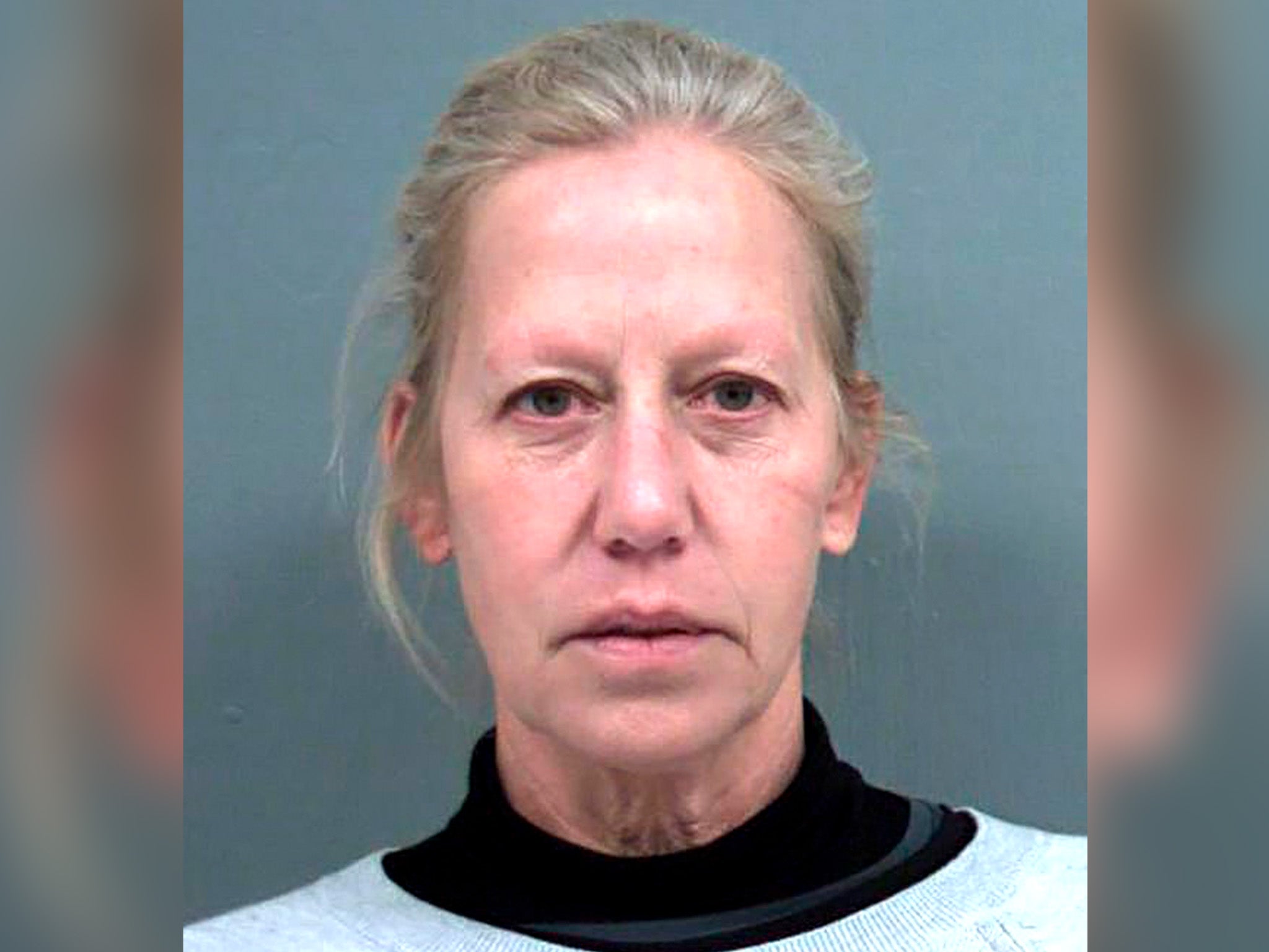 Hadley Palmer, 53, has had more serious charges against her dropped as part of a plea deal.