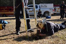 Dog raises alarm to save another dog stuck in a 15-foot sinkhole