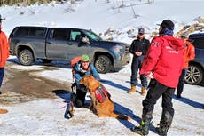 Hero mother watches avalanche sweep away son, then skis down to dig him out