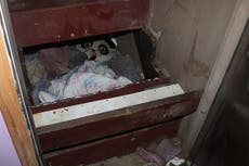 Paislee Shultis: Six-year-old found alive in secret room under stairs of New York house after being missing since 2019