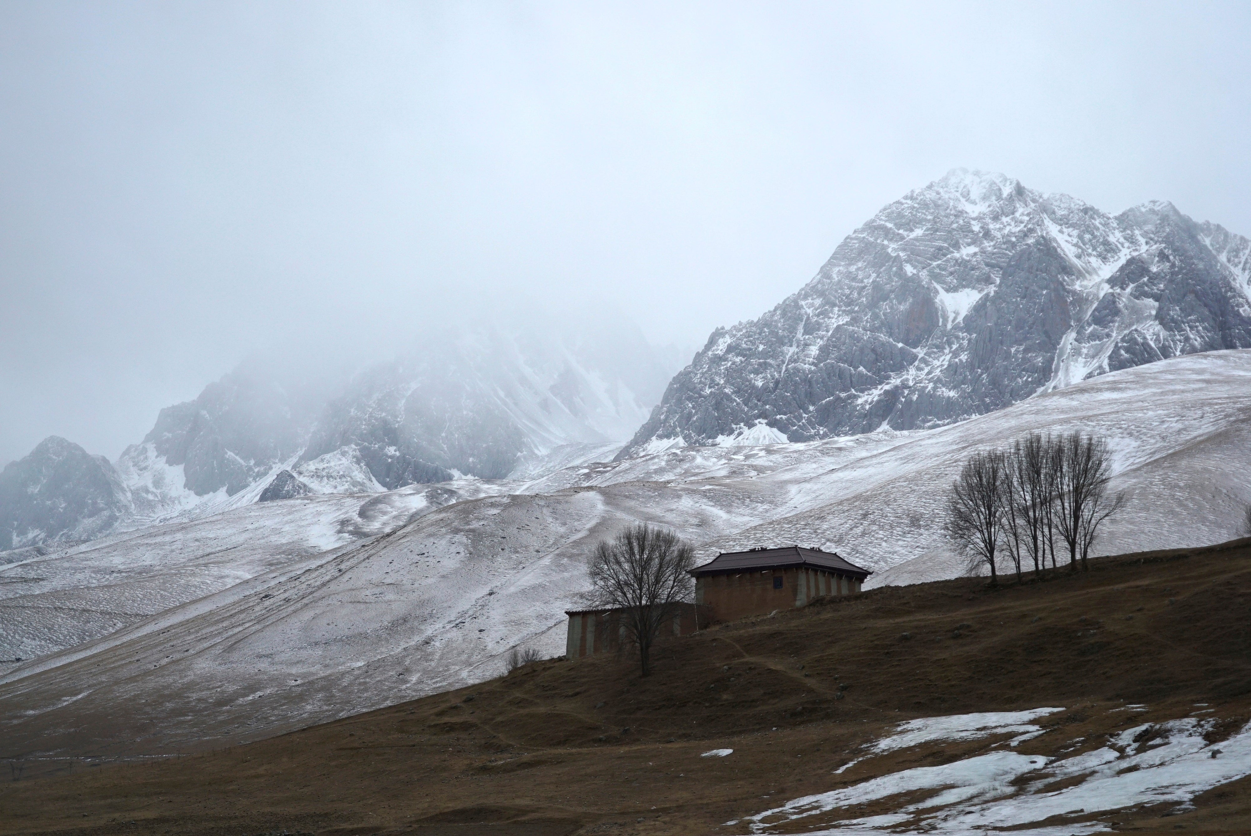 Tibet and the Olympics