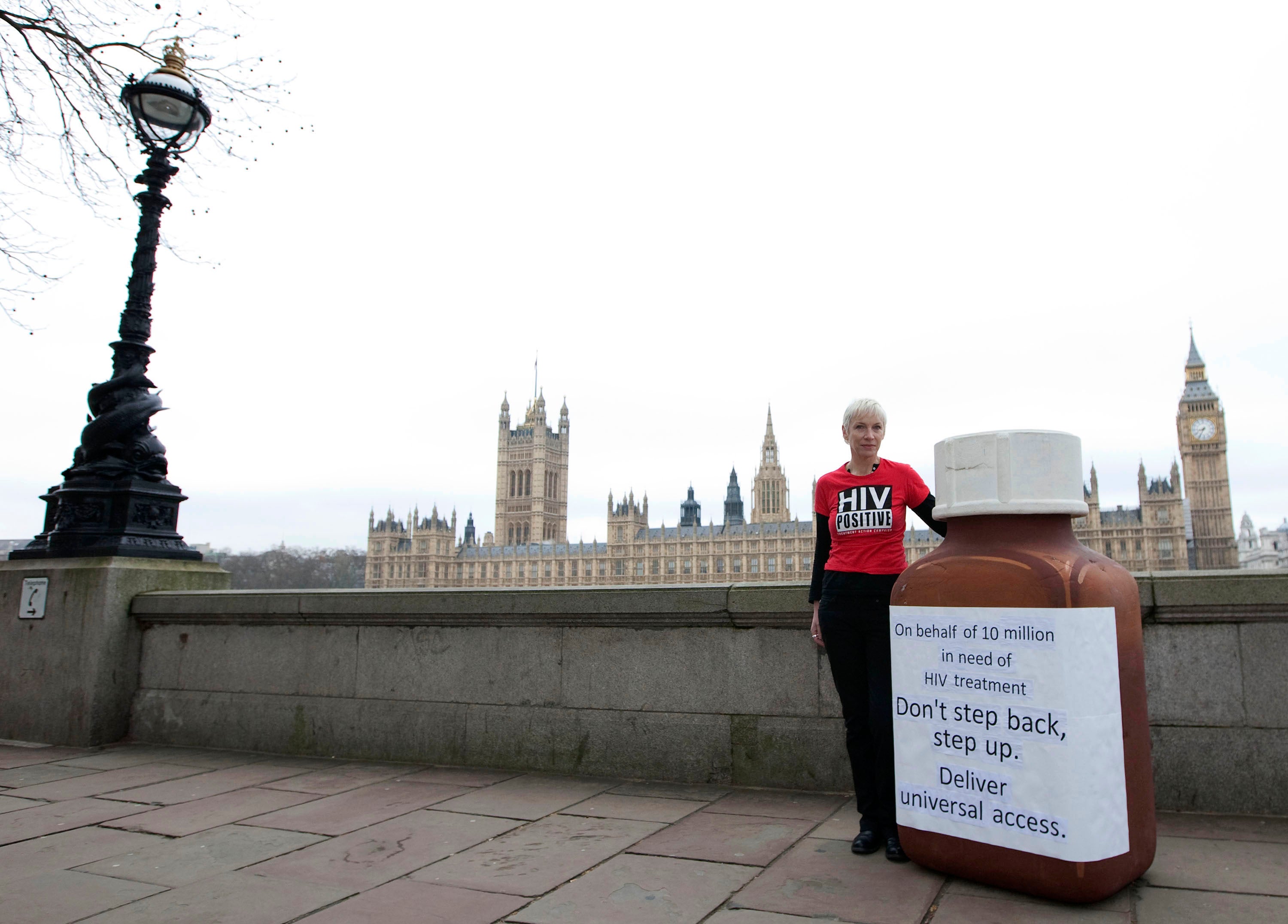 Aids campaigner Annie Lennox met government officials in 2010 to discuss universal access to HIV prevention and treatment worldwide