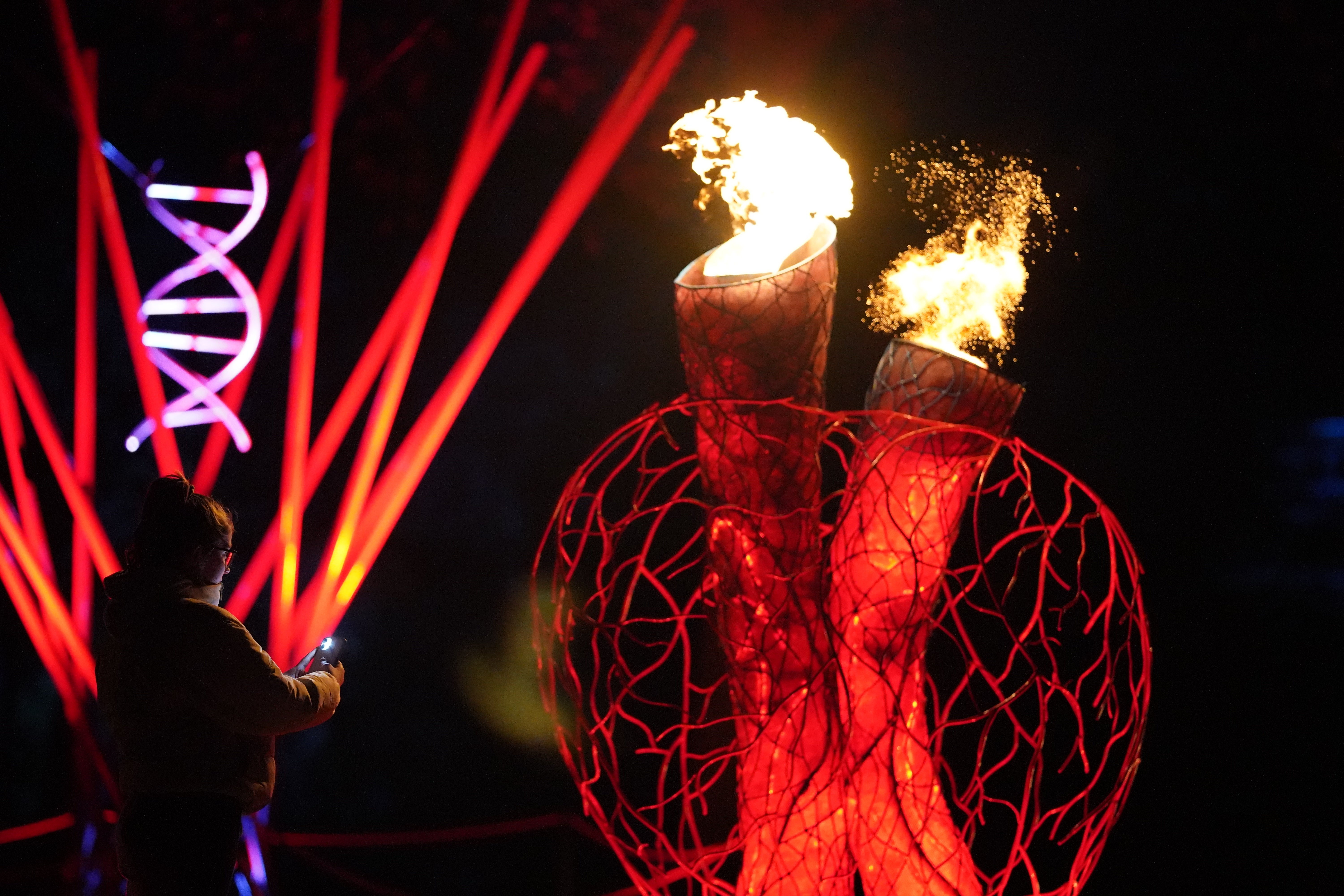 Visitors look at the immersive night-time installation at the Botanic Gardens in Belfast (Niall Carson/PA)