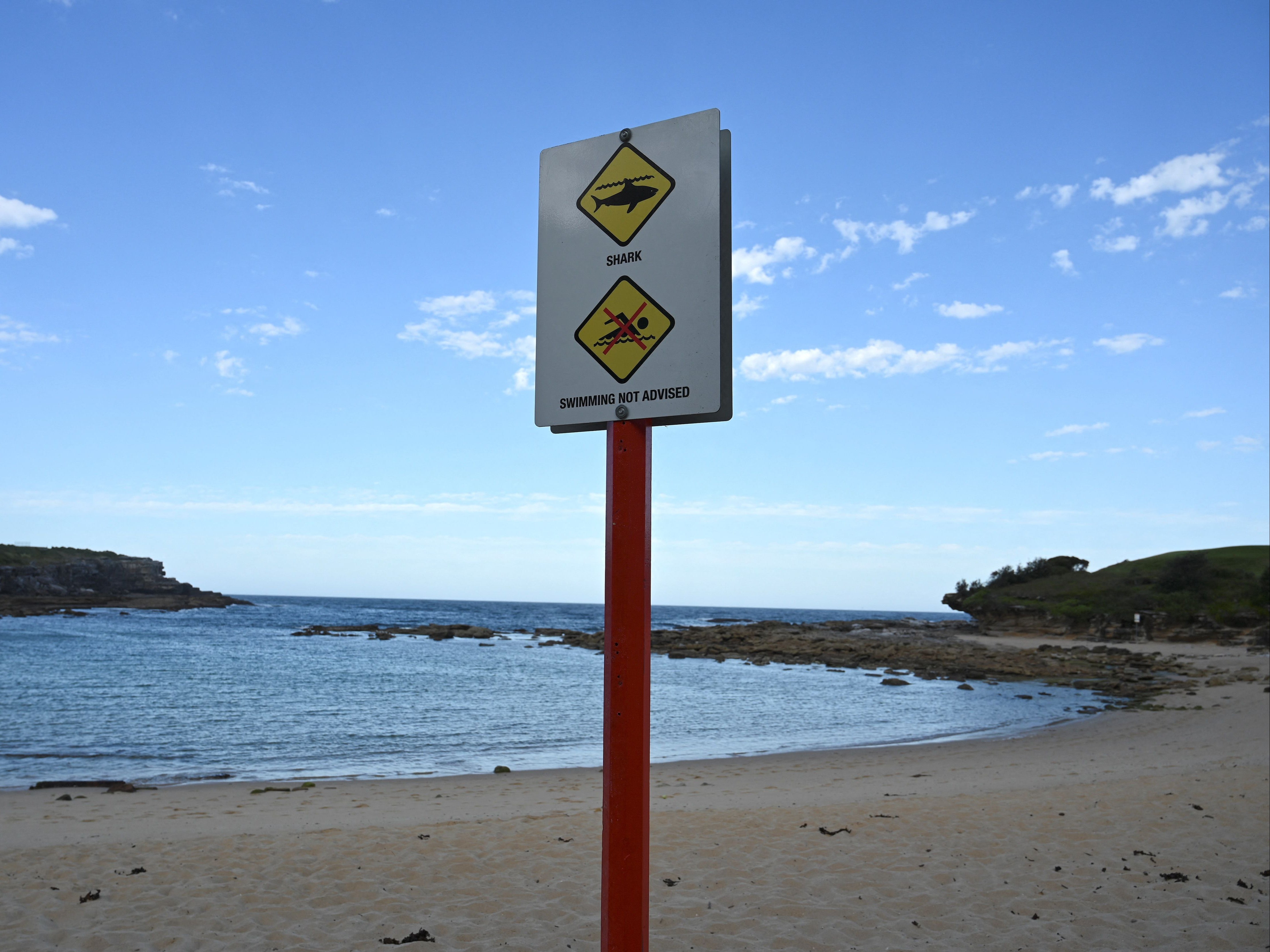 A British man was killed in a shark attack in Sydney in February 2022, the first fatal incident in the area since 1963