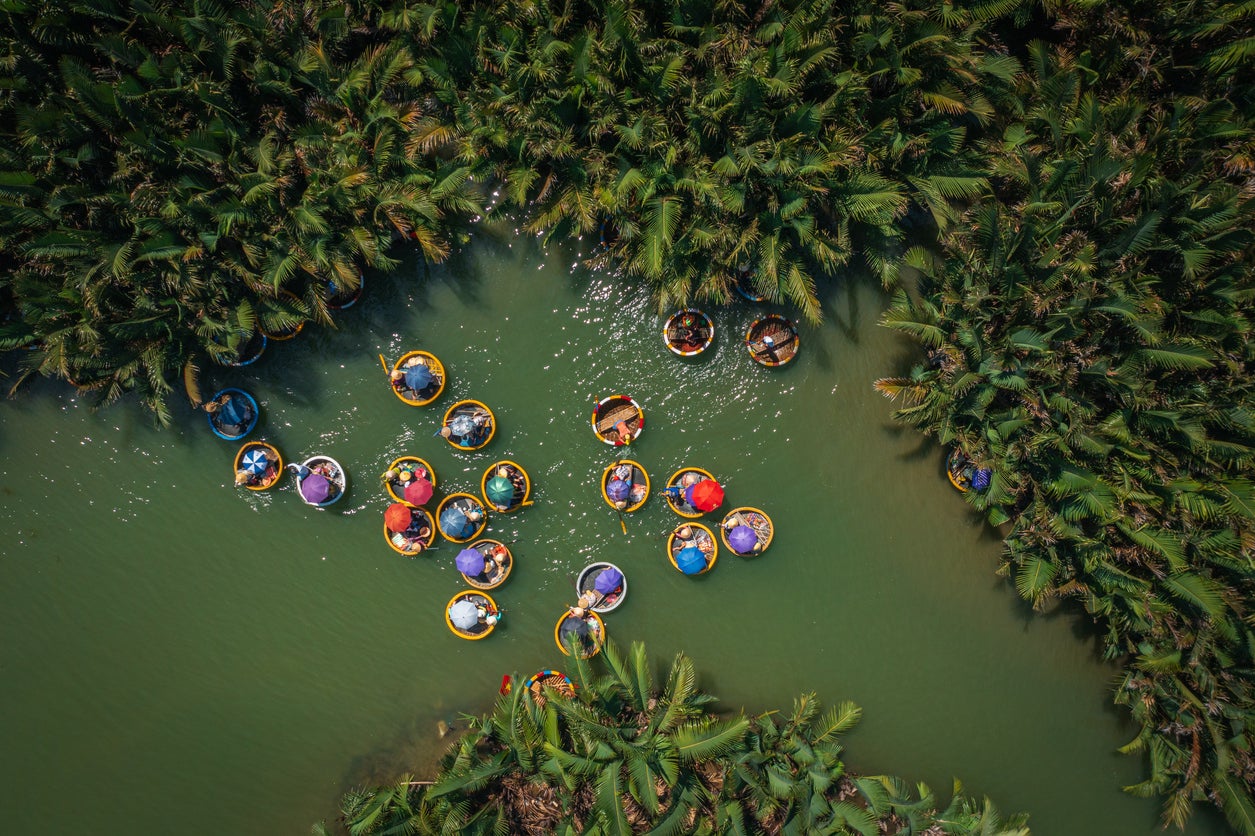 A basket boat tour in Bay Mau nipa palm jungle in Quang Nam province, central Vietnam