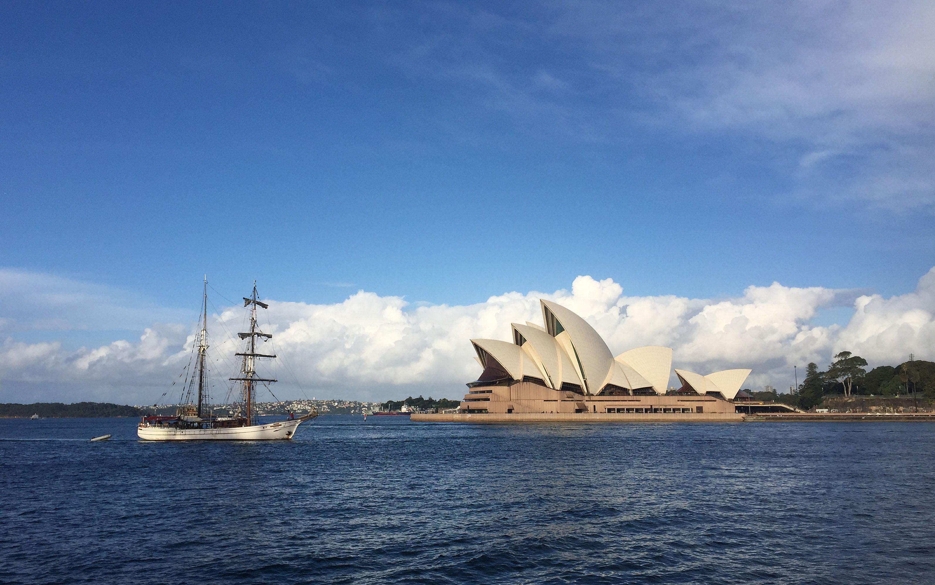 A British expat was fatally attacked by a shark while training for a charity swim in Sydney’s Little Bay (Steve Parsons/PA)