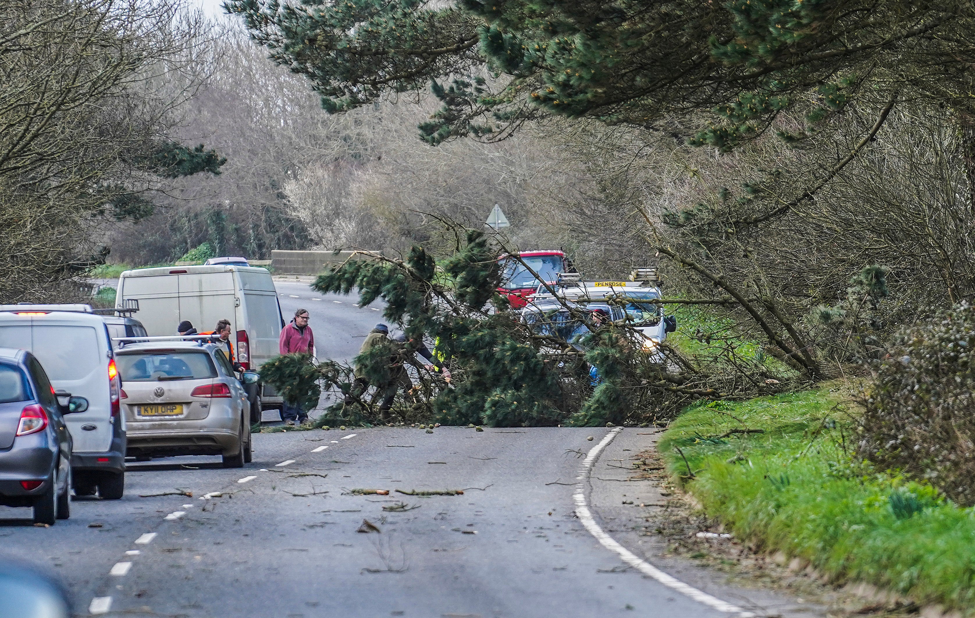 Council workers and members of the public attempt to clear a fallen tree from the A394 road near Penzance, England