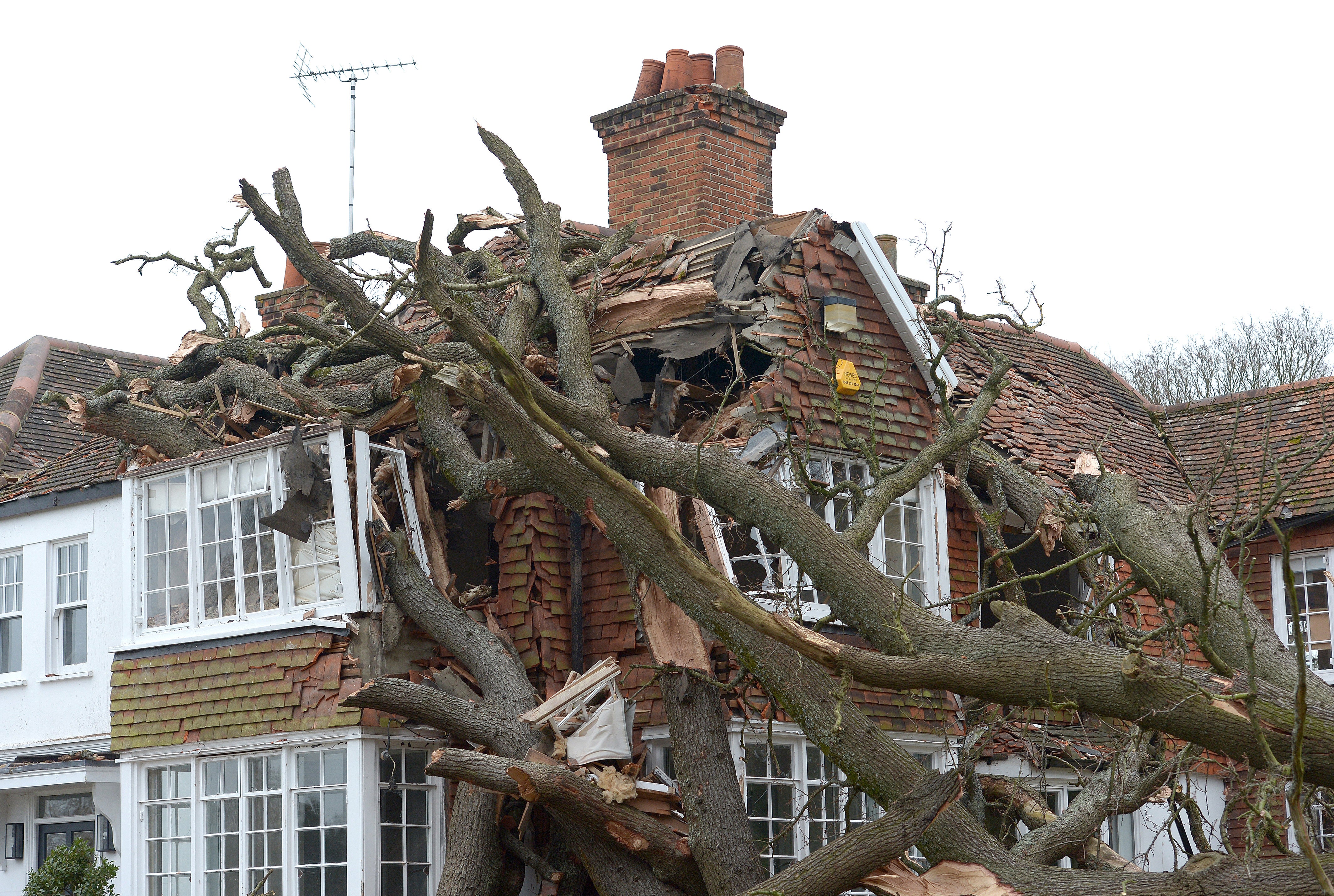 The 400-year-old oak tree was uprooted by Storm Eunice (Nicholas T Ansell/PA)