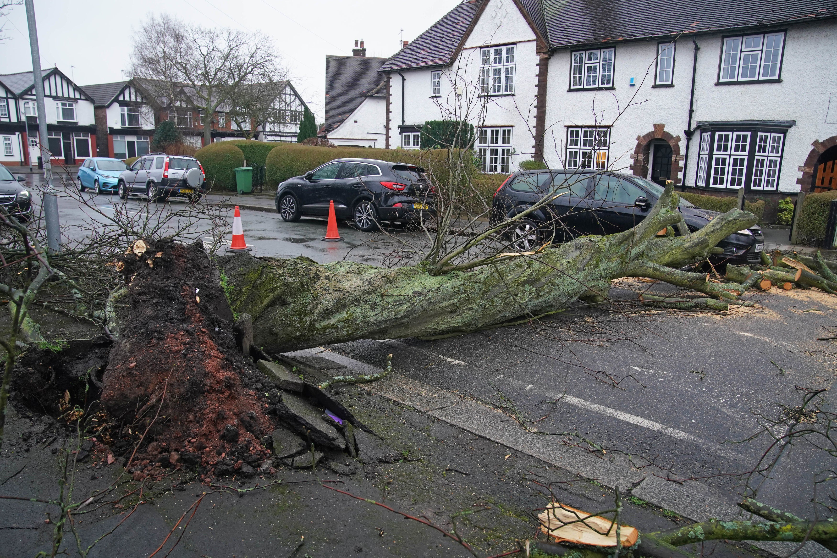 A car damaged by a fallen tree after high winds and wet weather in Liverpool