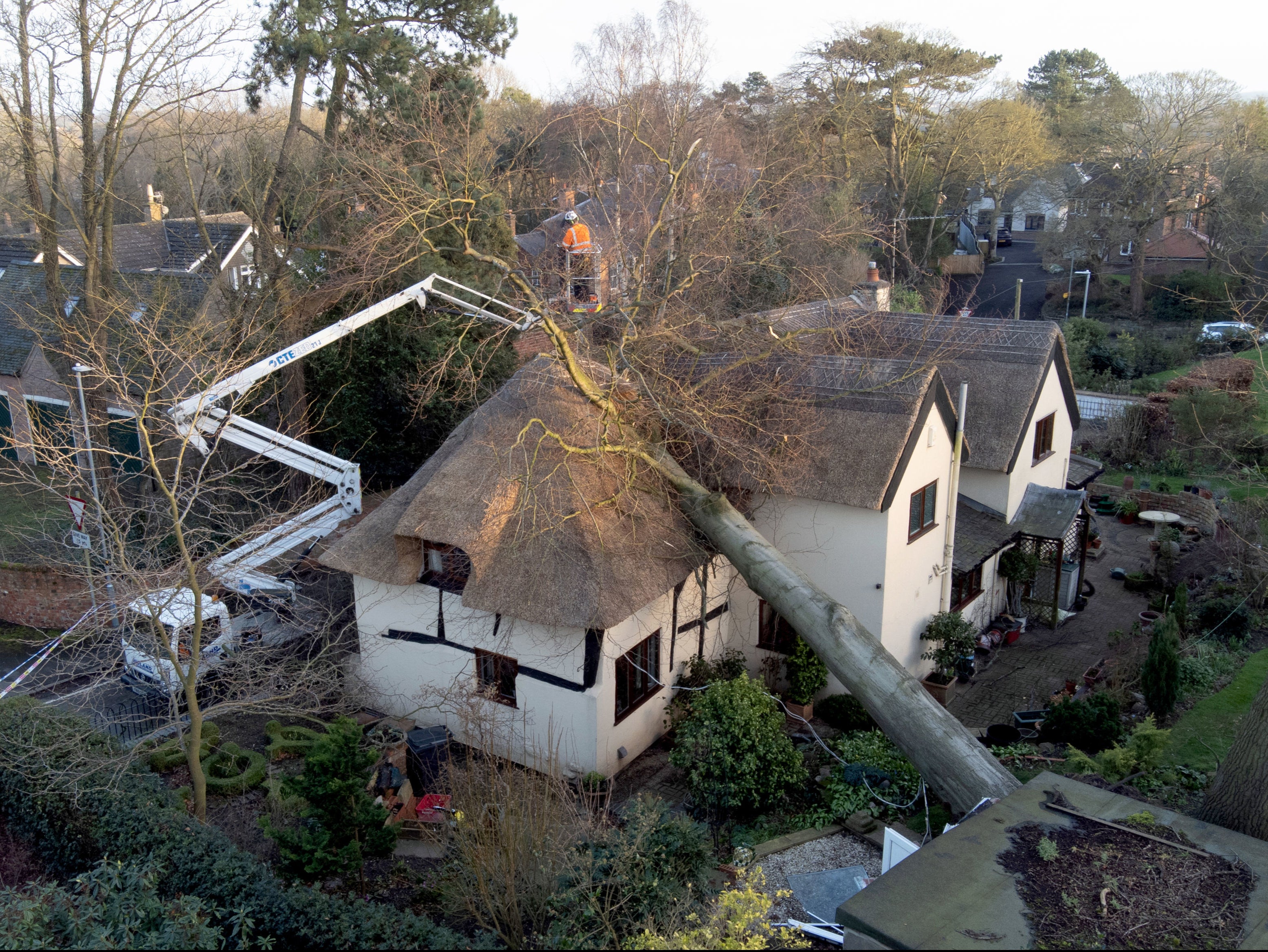 Heavy winds brought down trees and caused widespread damage during the 2022 storms