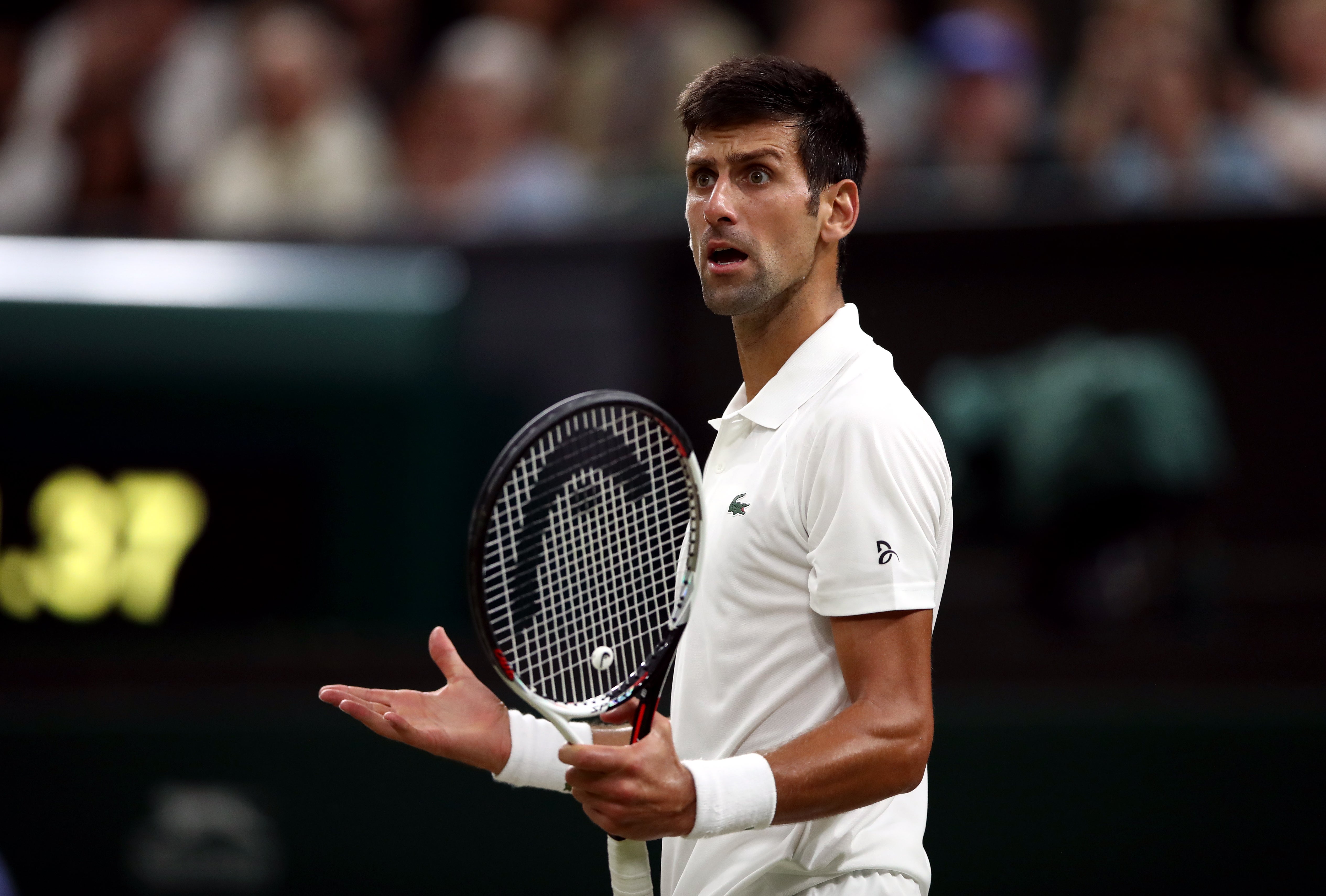 Novak Djokovic (John Walton/PA)