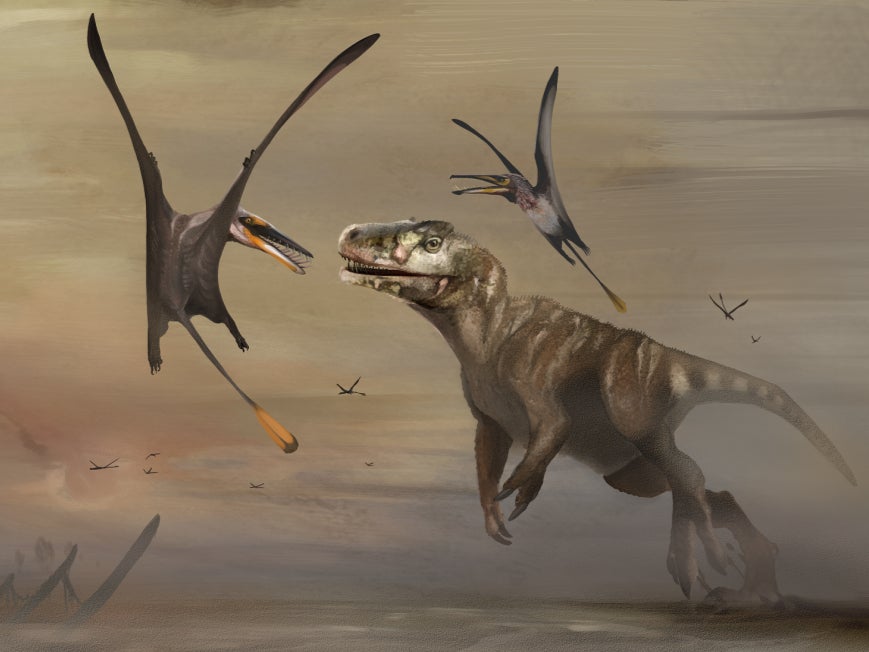 The pterosaur would have flown more than 170 million years ago