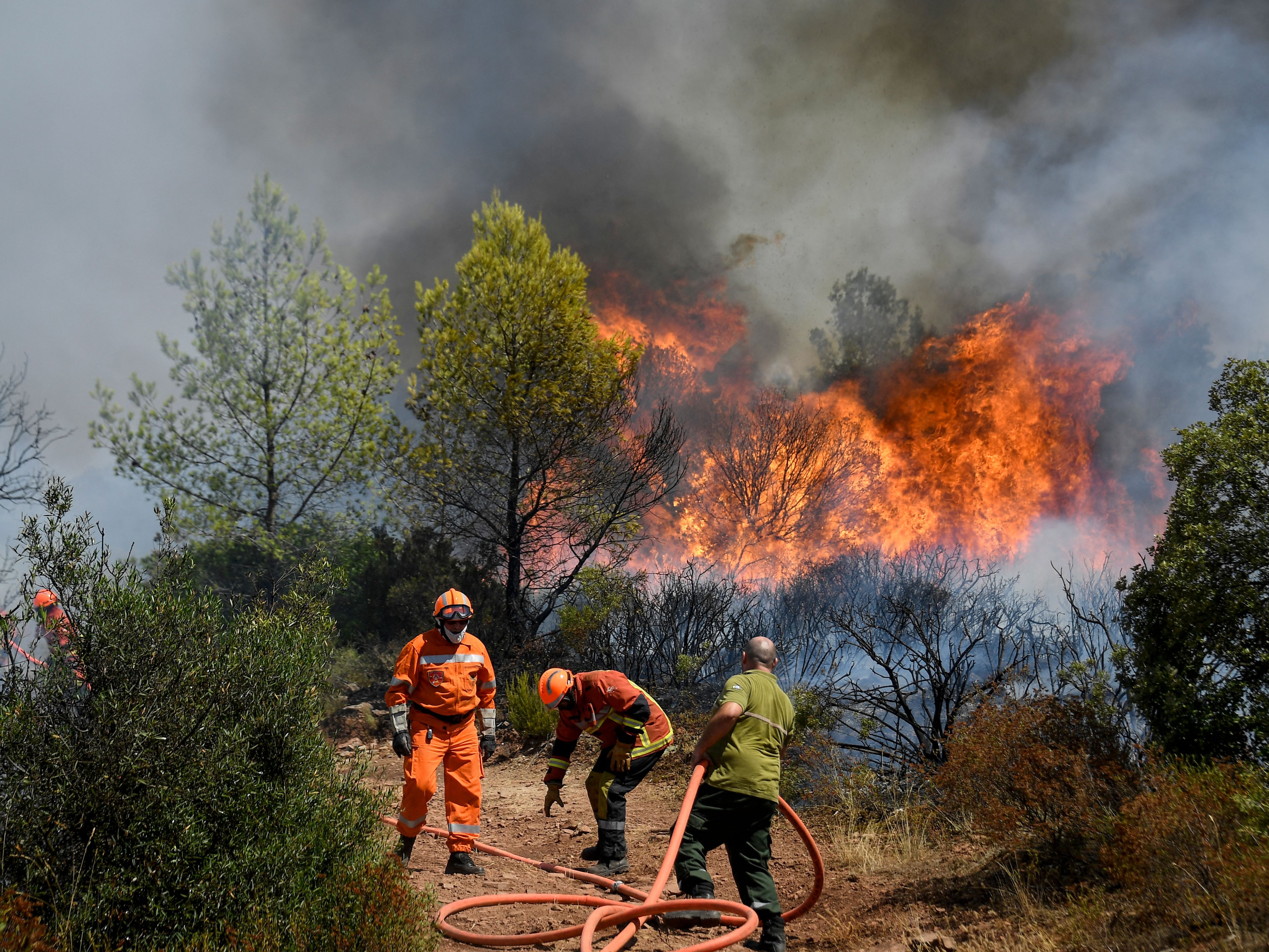 French firefighters use a water hose to extinguish a forest fire in Var last summer