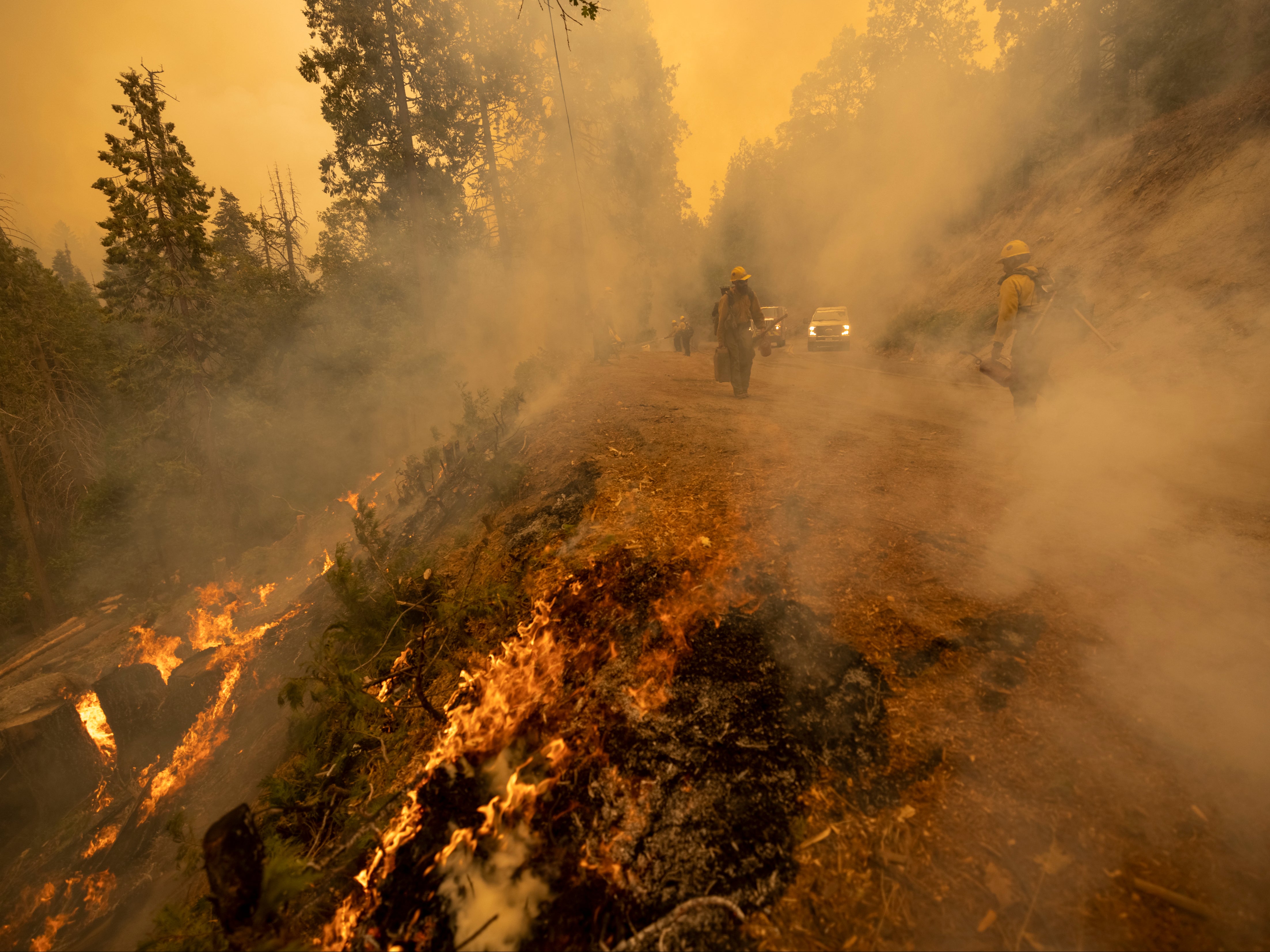 Firefighters tend to a backfire set to battle the Windy Fire in California last autumn