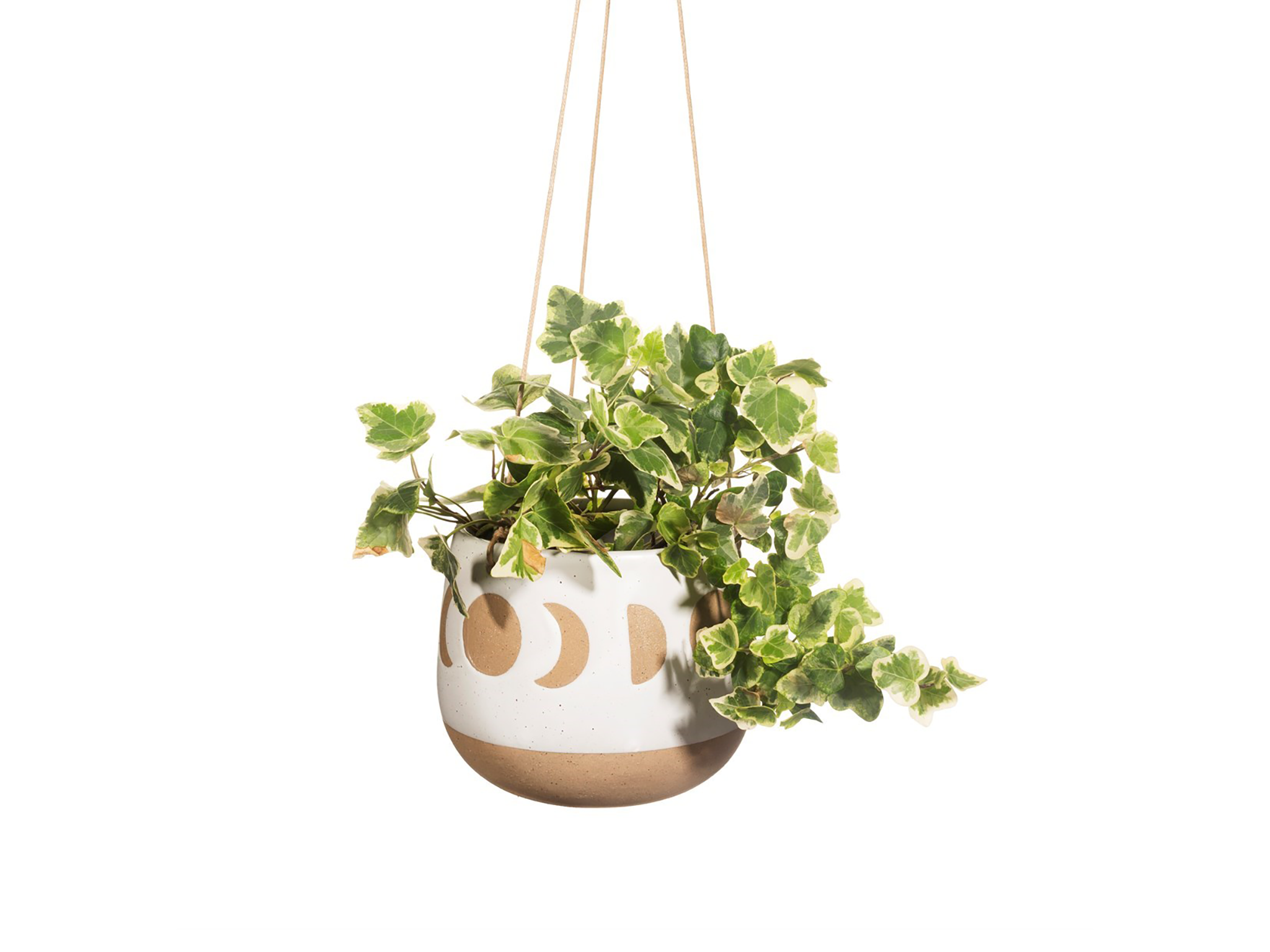 moon phases hanging plant pot