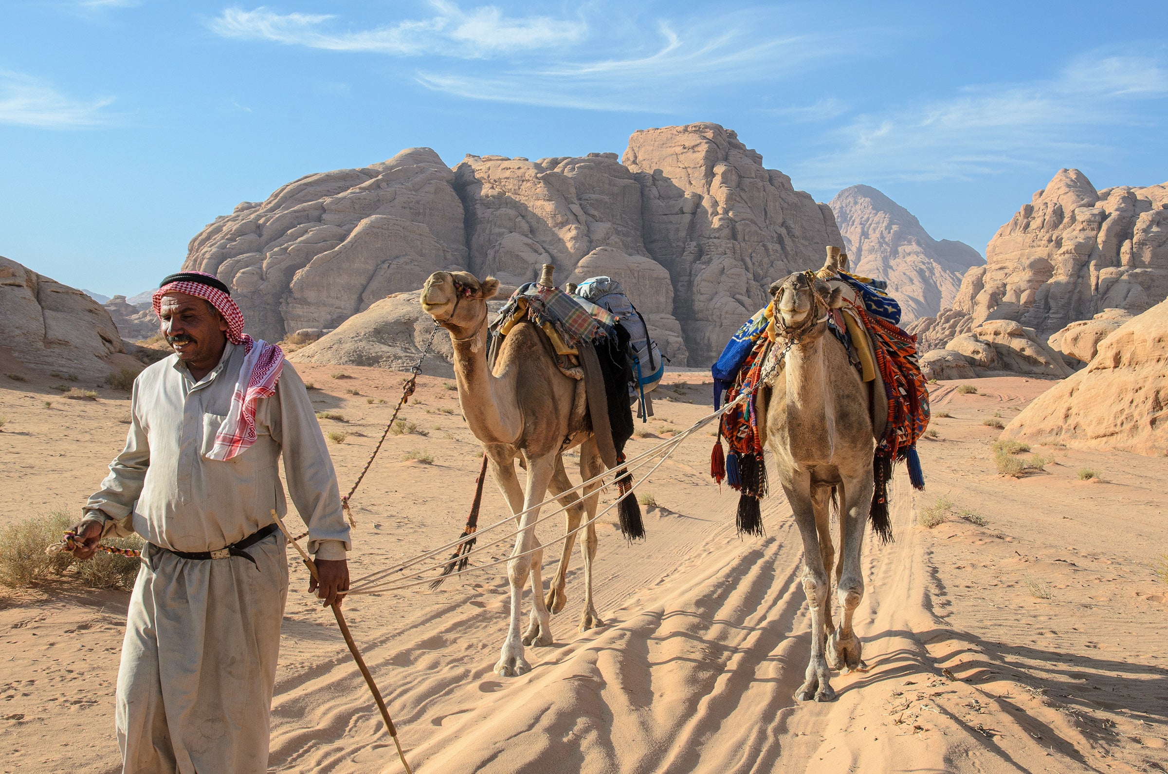 A Bedouin guide leads camels through the desert at Wadi Rum