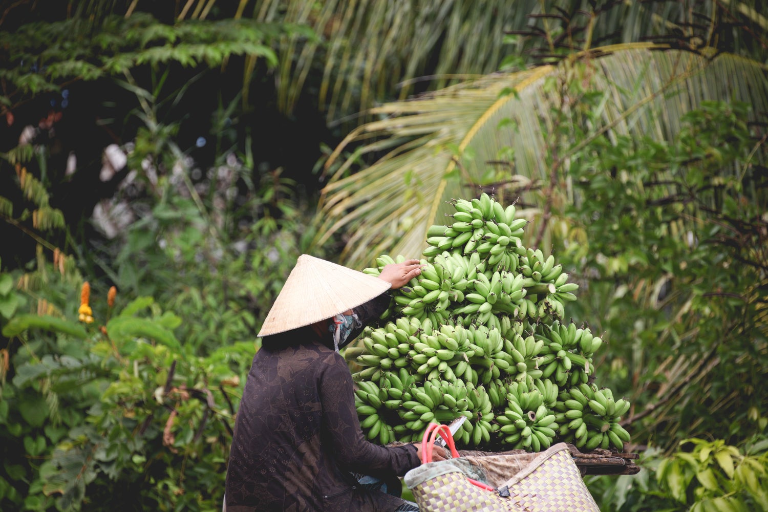 A local worker in the Mekong Delta