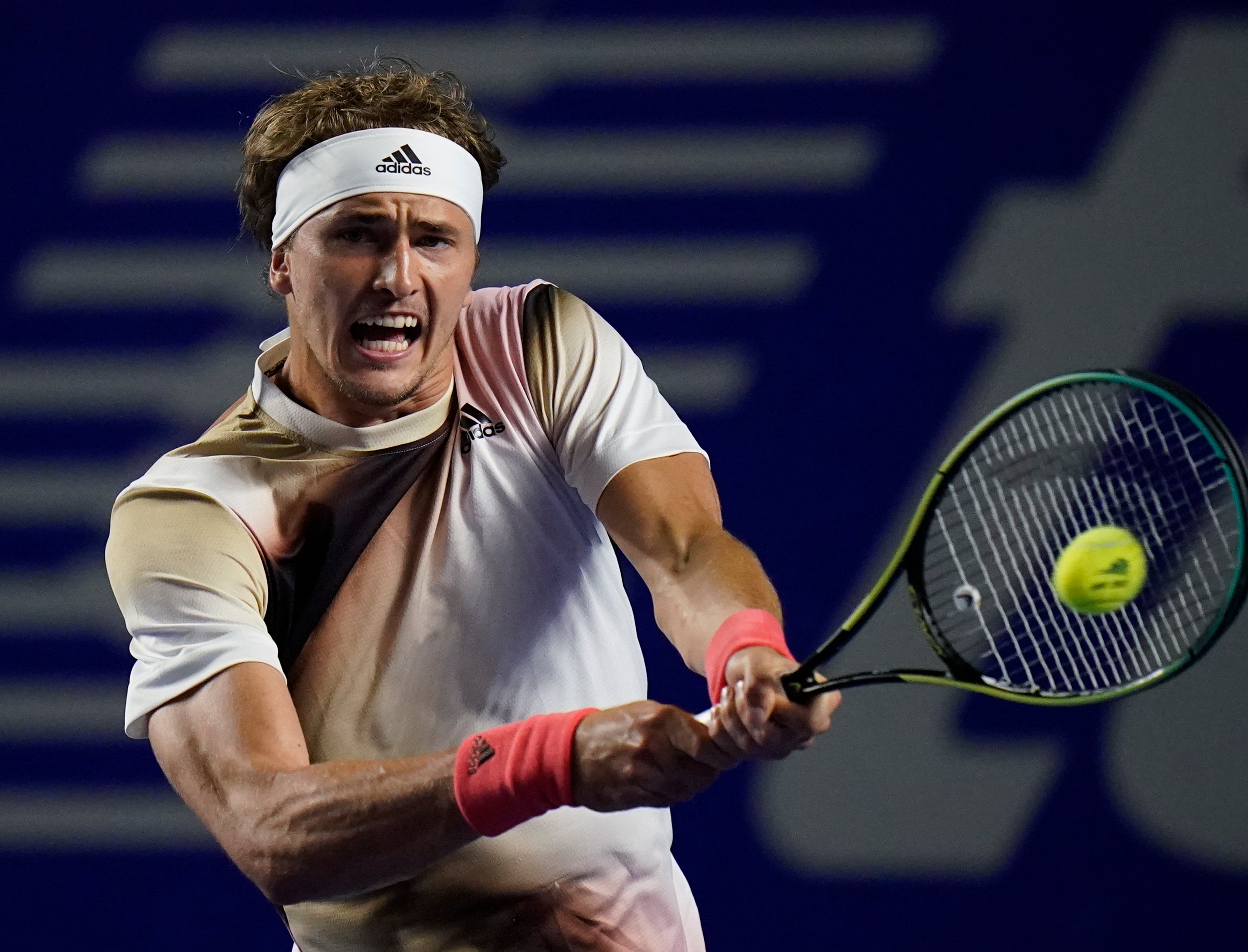 Alexander Zverev was thrown out of the tournament (Eduardo Verdugo/AP)