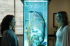 Killing Eve, season four review: The cat and mouse thriller’s final outing is no more than fine