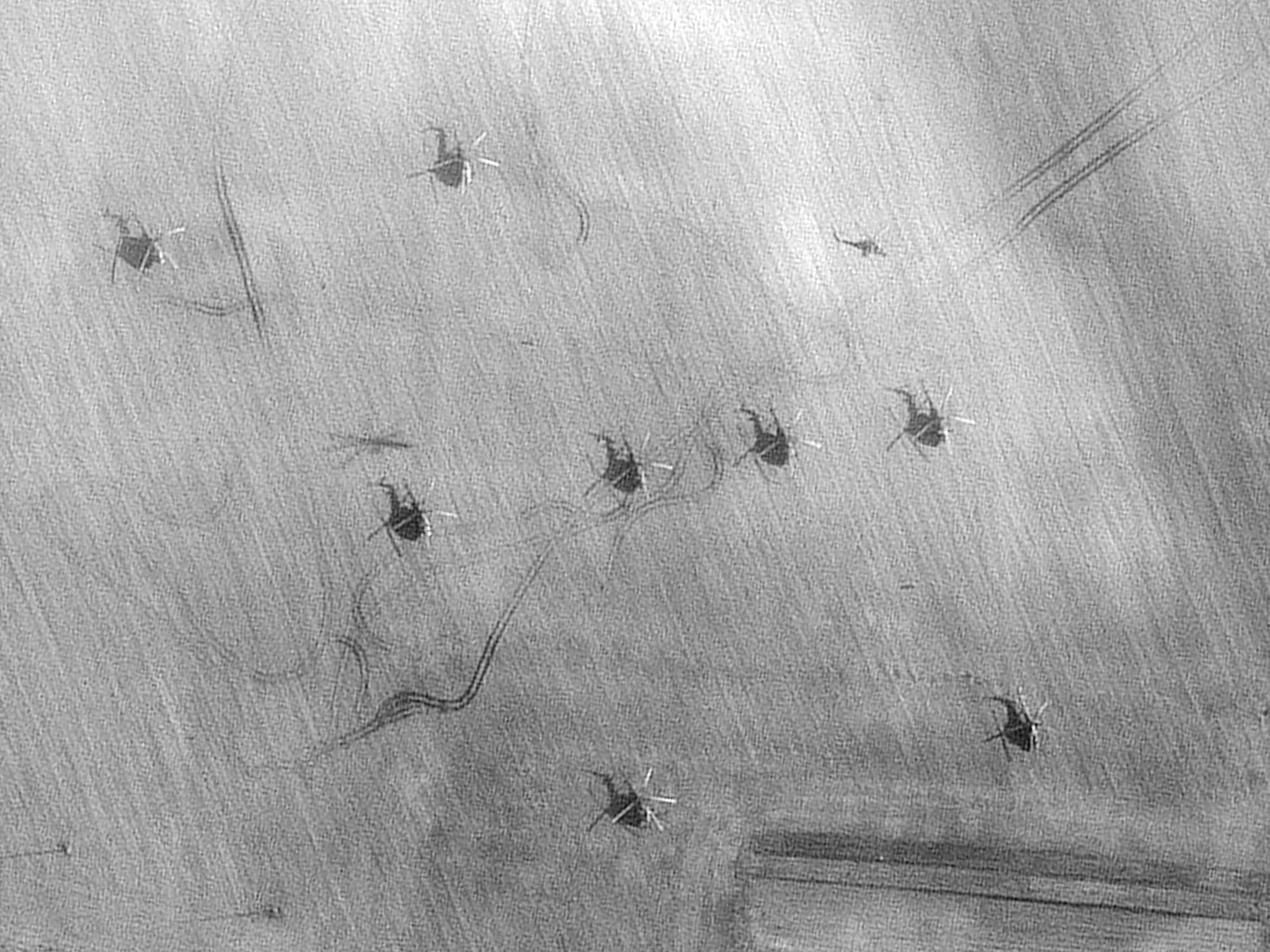 Satellite shot of helicopters at V D Bolshoy Bokov airfield, Belarus, near the border with Ukraine, on Friday