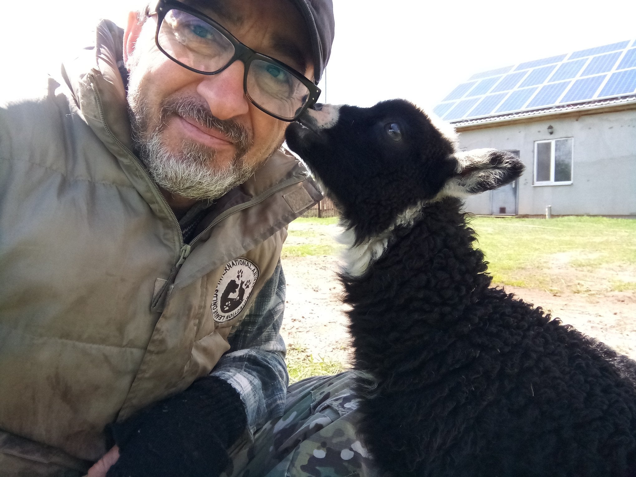 Italian-born Cisternino owns the shelter in Kyiv which he says is home to 400 animals.