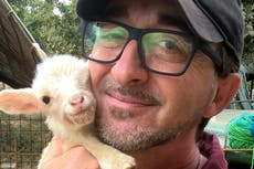 Ukraine: Man refuses to abandon 400 animals in Kyiv shelter and would 'rather die' than leave them