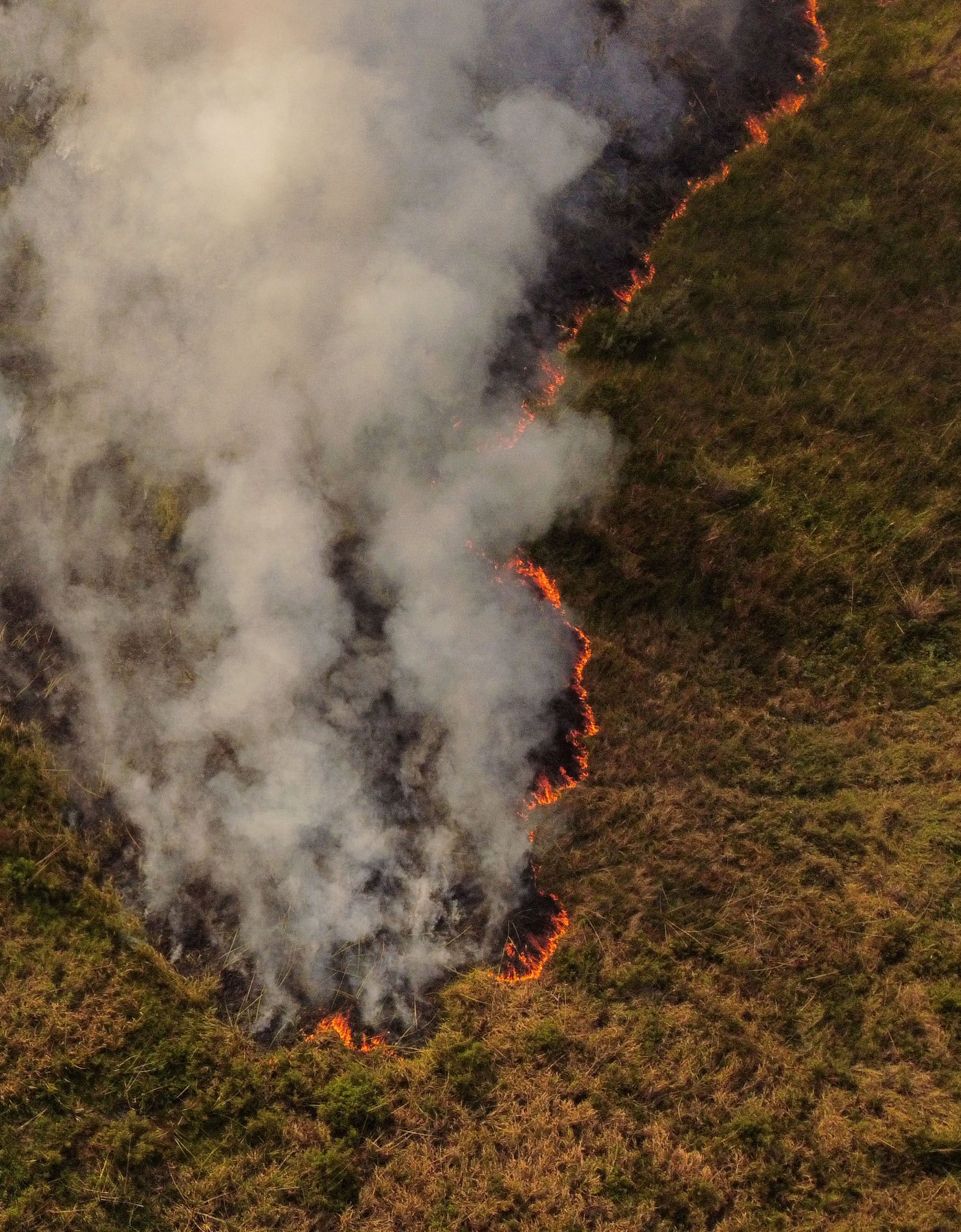 A view of the wildfire that has spread over more than 500,000 hectares in the northern province of Corrientes, in Argentina