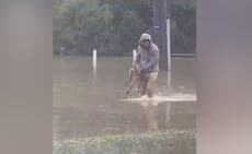 Australia: Exhausted wallaby rescued from deep floodwaters in Queensland