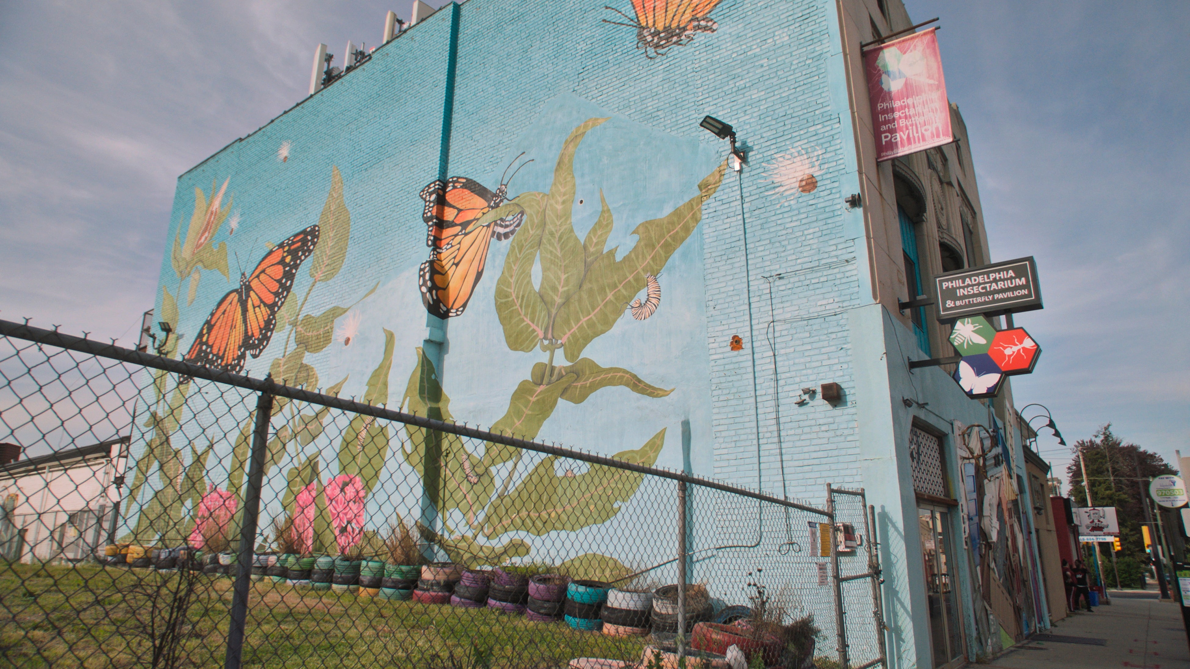 The documentary aims to raise awareness about how vital insects are to our survival