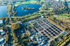 Sewage plants spreading millions of toxic plastic ‘nurdles’ across North Sea to the Netherlands, report finds