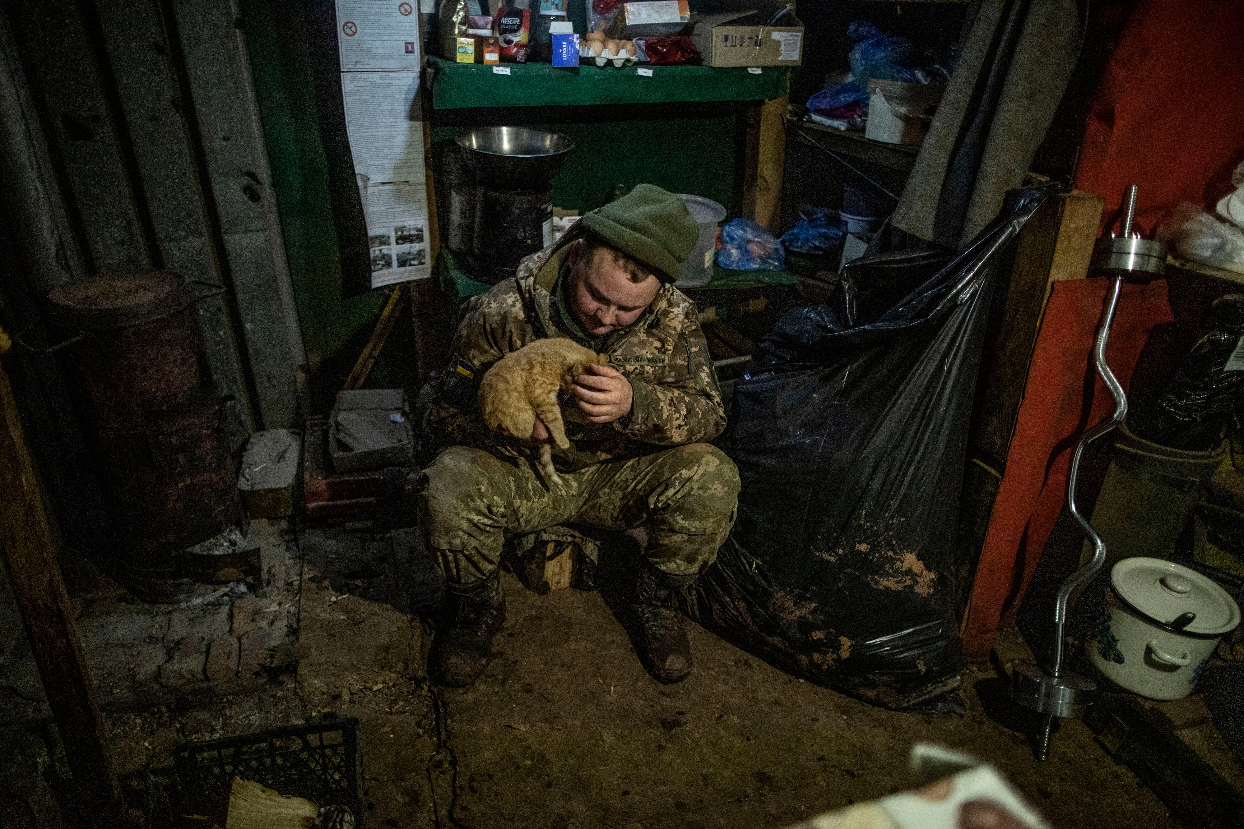 File image: Federation Internationale Feline cites Russia’s attack against Ukraine as a reason behind the ban