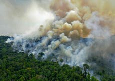 Satellites show Amazon rainforest losing its ability to bounce back: Scientists fear a ‘tipping point’ 