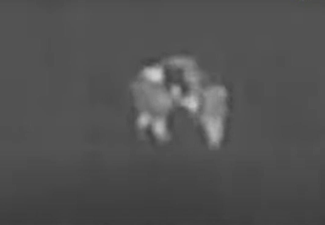 Footage from a thermal imaging camera on a drone shows the moment two women were saved by a police officer after getting stuck in a swamp at night (West Midlands Police Video/PA)