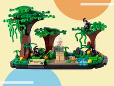  International Women’s Day 2022: Lego has made a Jane Goodall set and you can get it for free