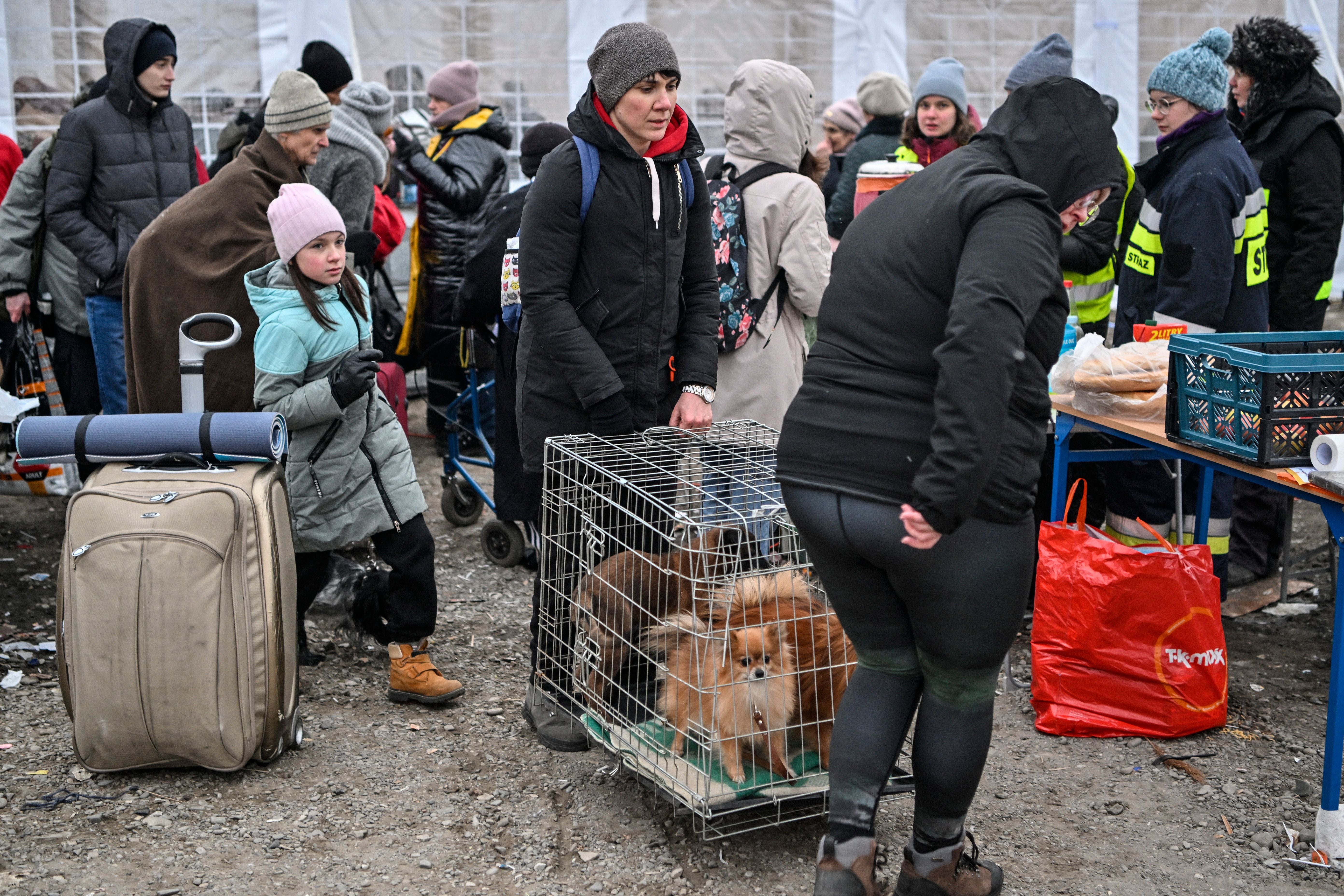 People carry evacuated dogs after crossing the Ukrainian borders into Poland.