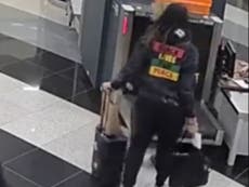 Russia shares new video of Brittney Griner bag search as experts warn she could be used as pawn for Putin