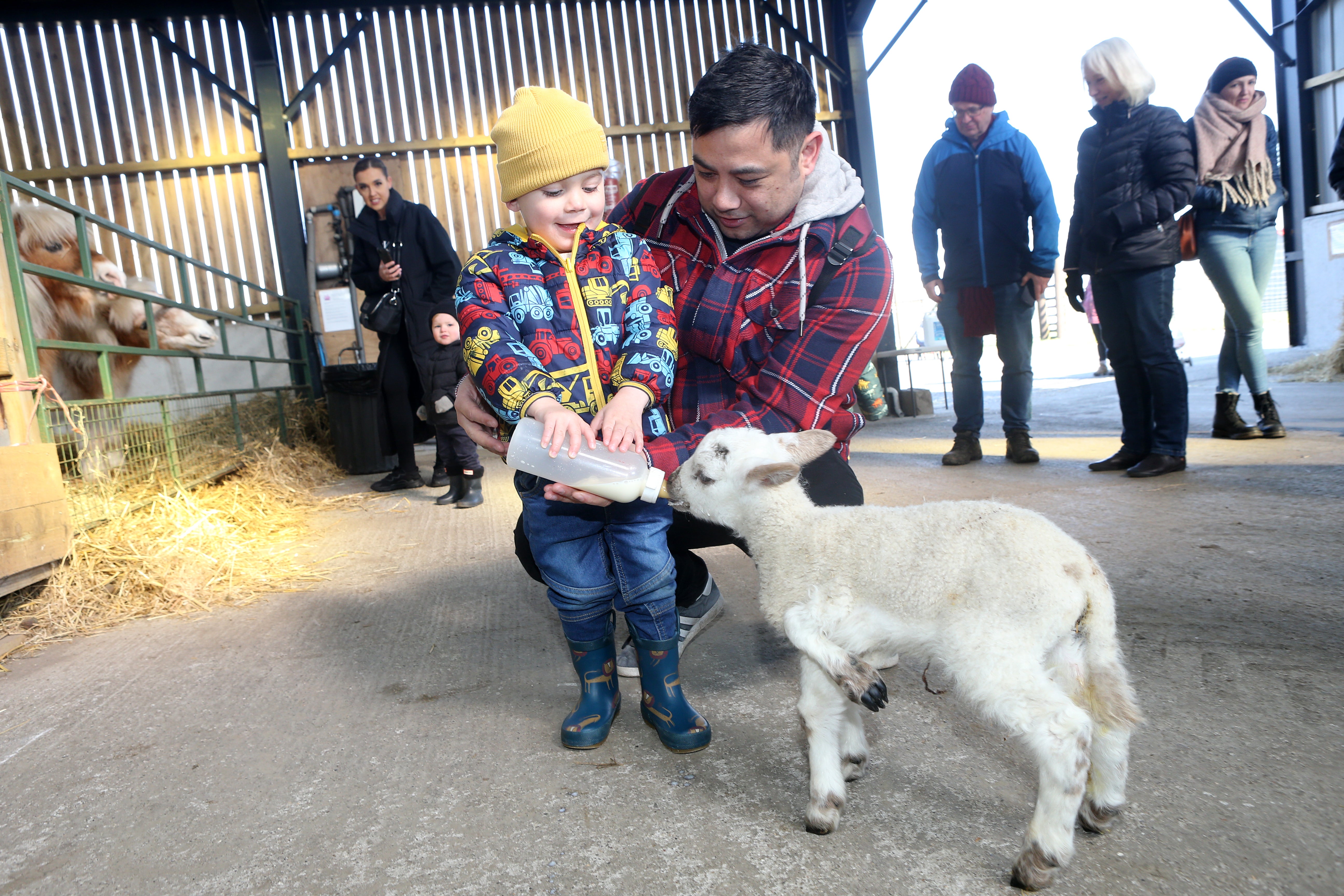 Part-owner Heather says it is only the second time she has seen it in her 25 years at Whitehouse Farm