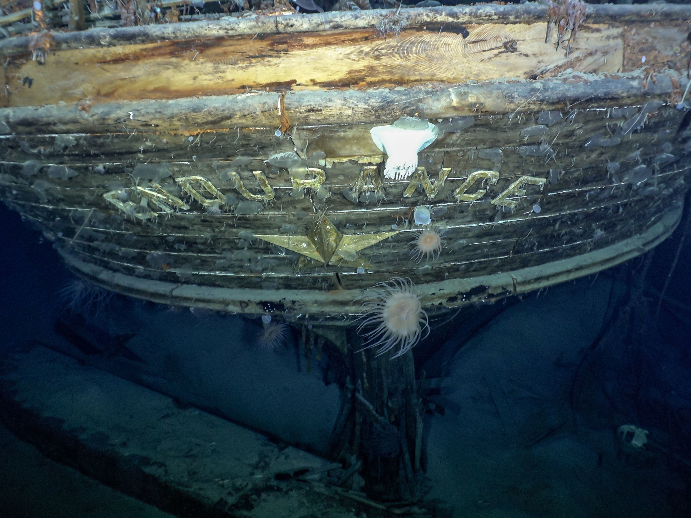 Shackleton’s vessel was crushed by ice sheets in the Weddell Sea in 1915