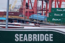 Brexit not as calamitous for Ireland as feared, politicians told