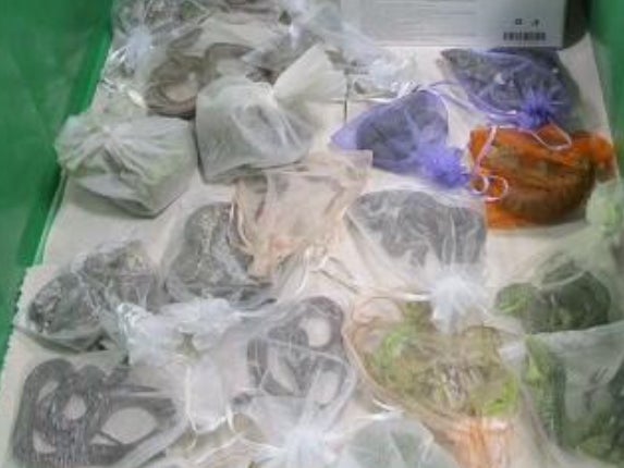 The snakes and lizards found in bags last month