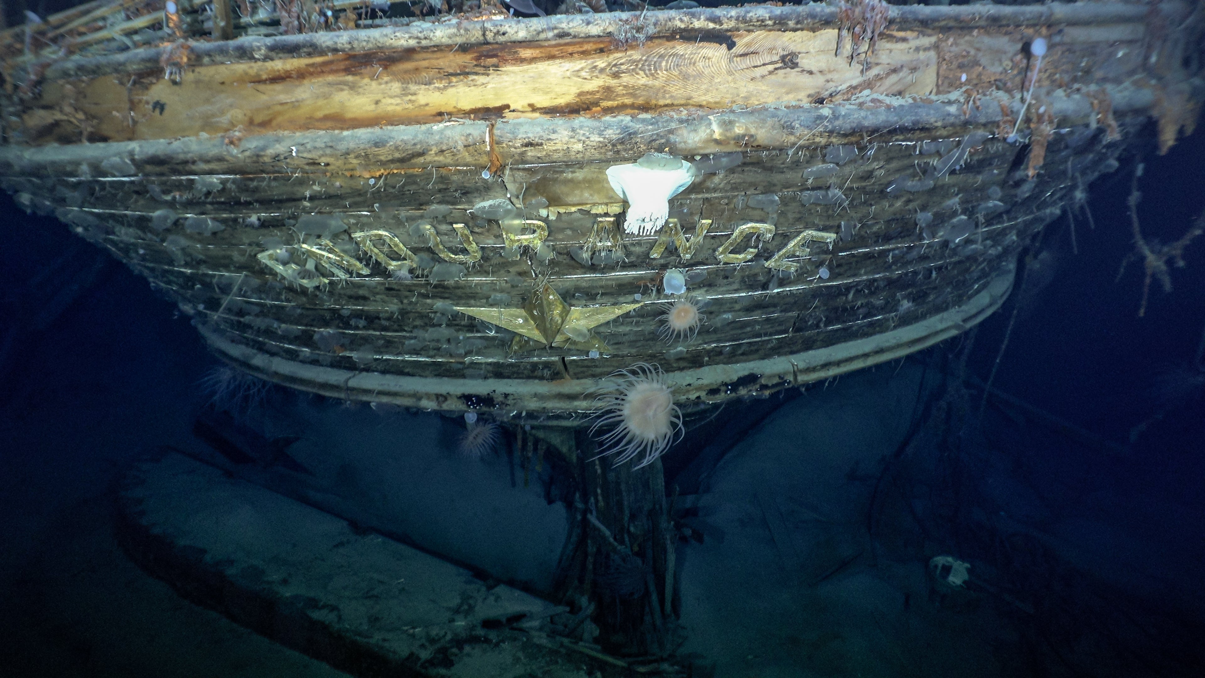 Endurance has been discovered days before the mission to find it was due to end (Falklands Maritime Heritage Trust/National Geographic/PA)