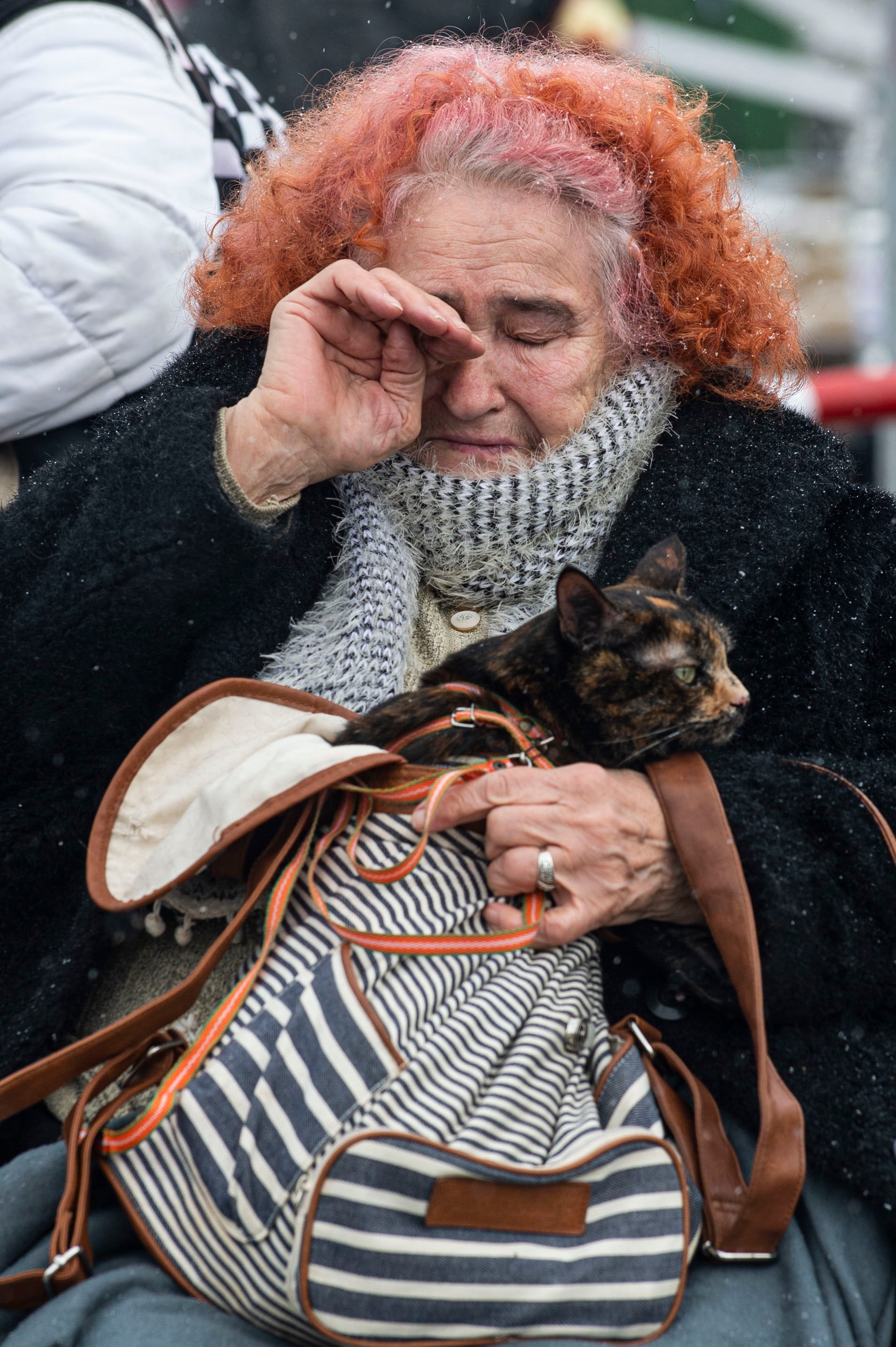 Dmytrivna, accompanied by her cat, Masha, wipes away a tear