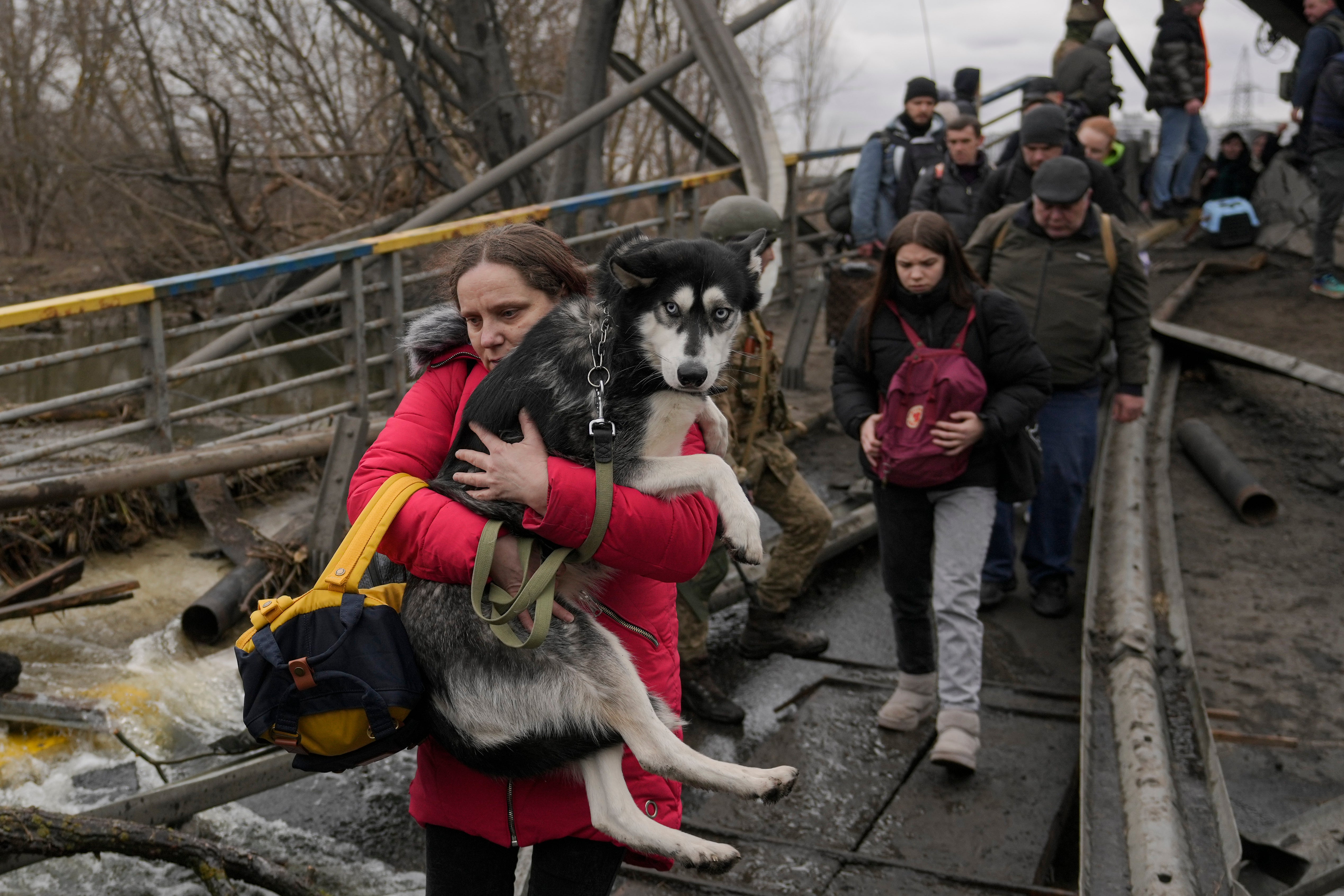 AP PHOTOS: Ukrainians fleeing war 'can't leave' pets behind