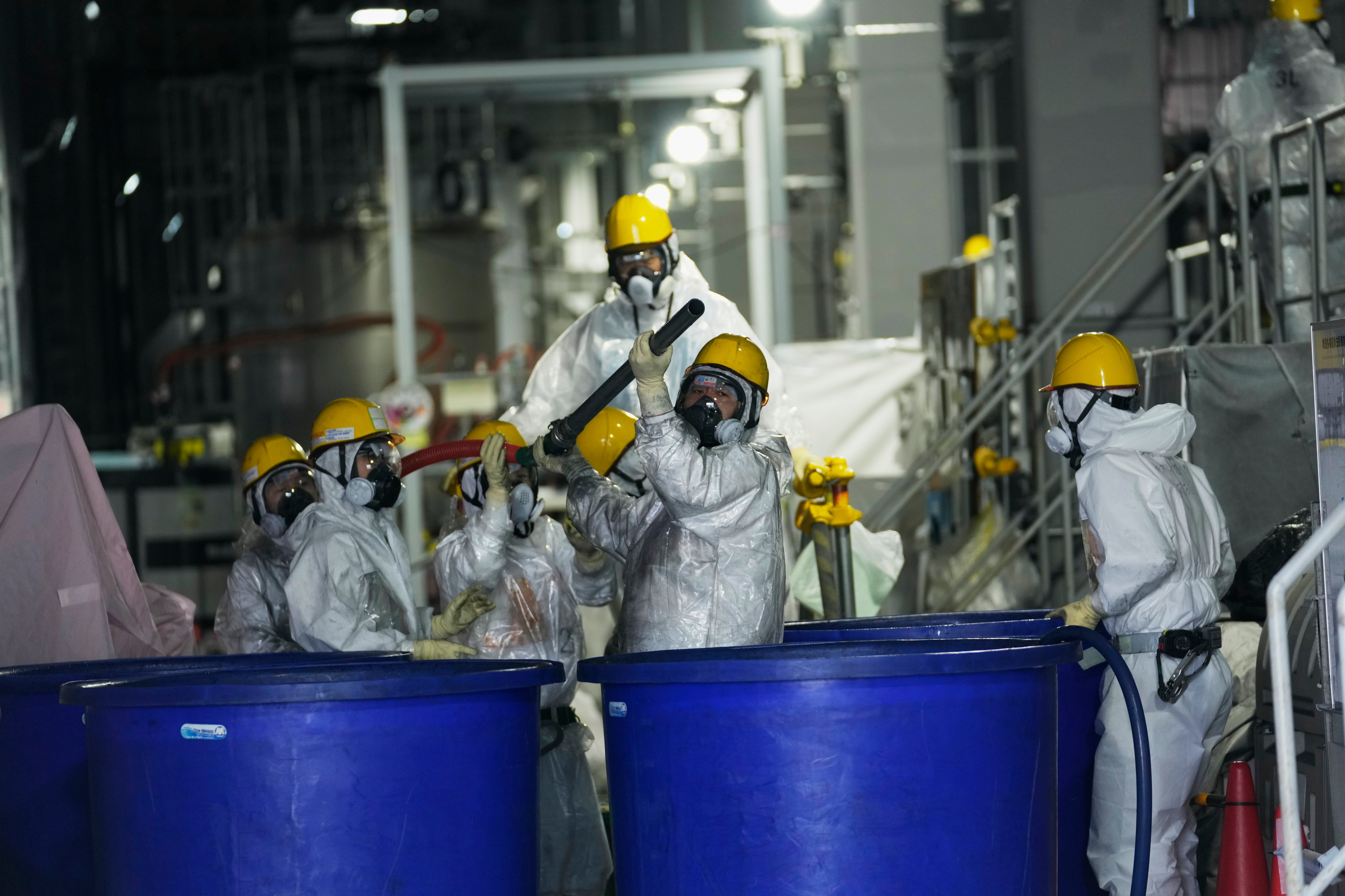 Japan Fukushima Cleanup