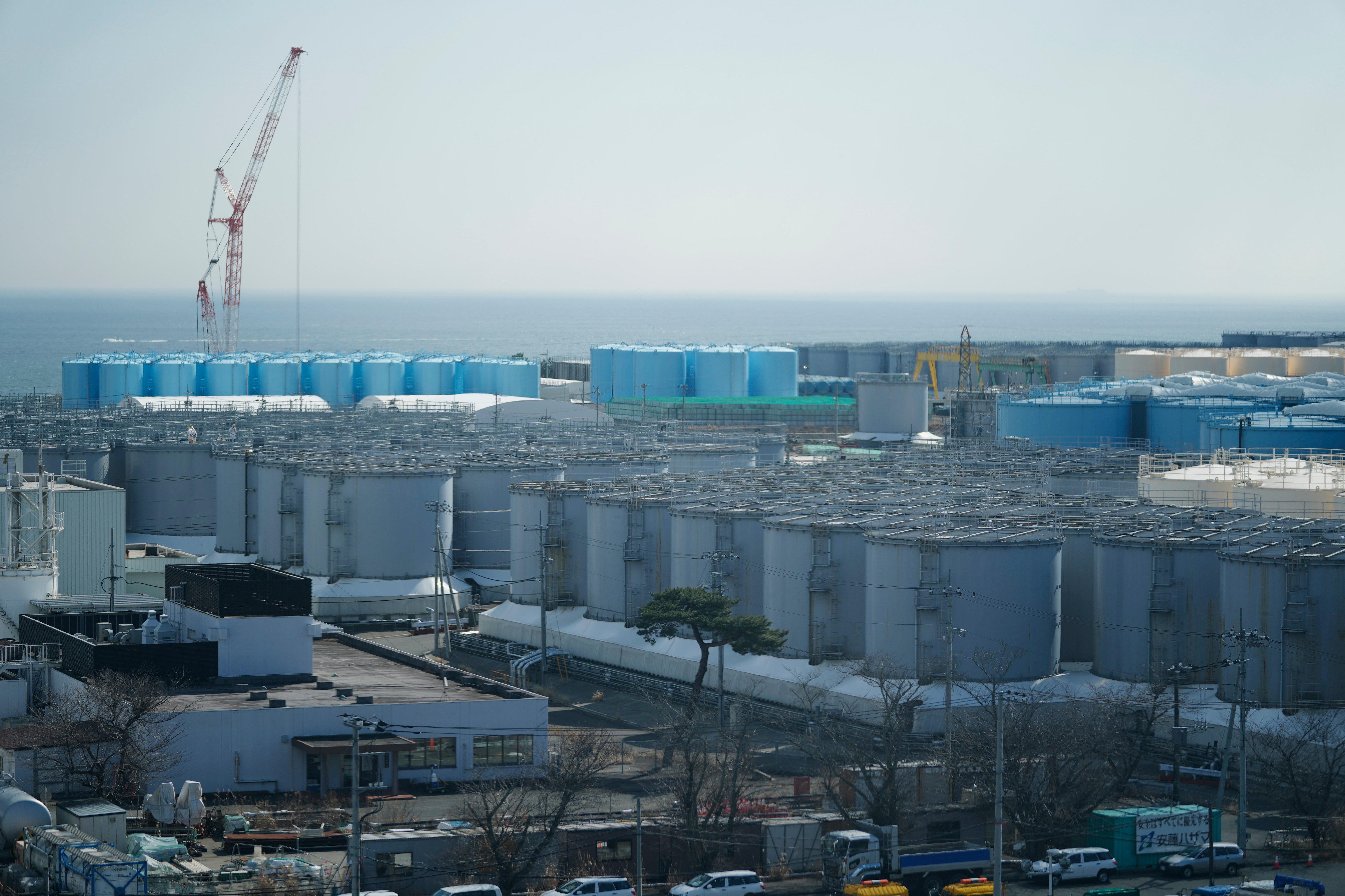 Japan Fukushima Cleanup