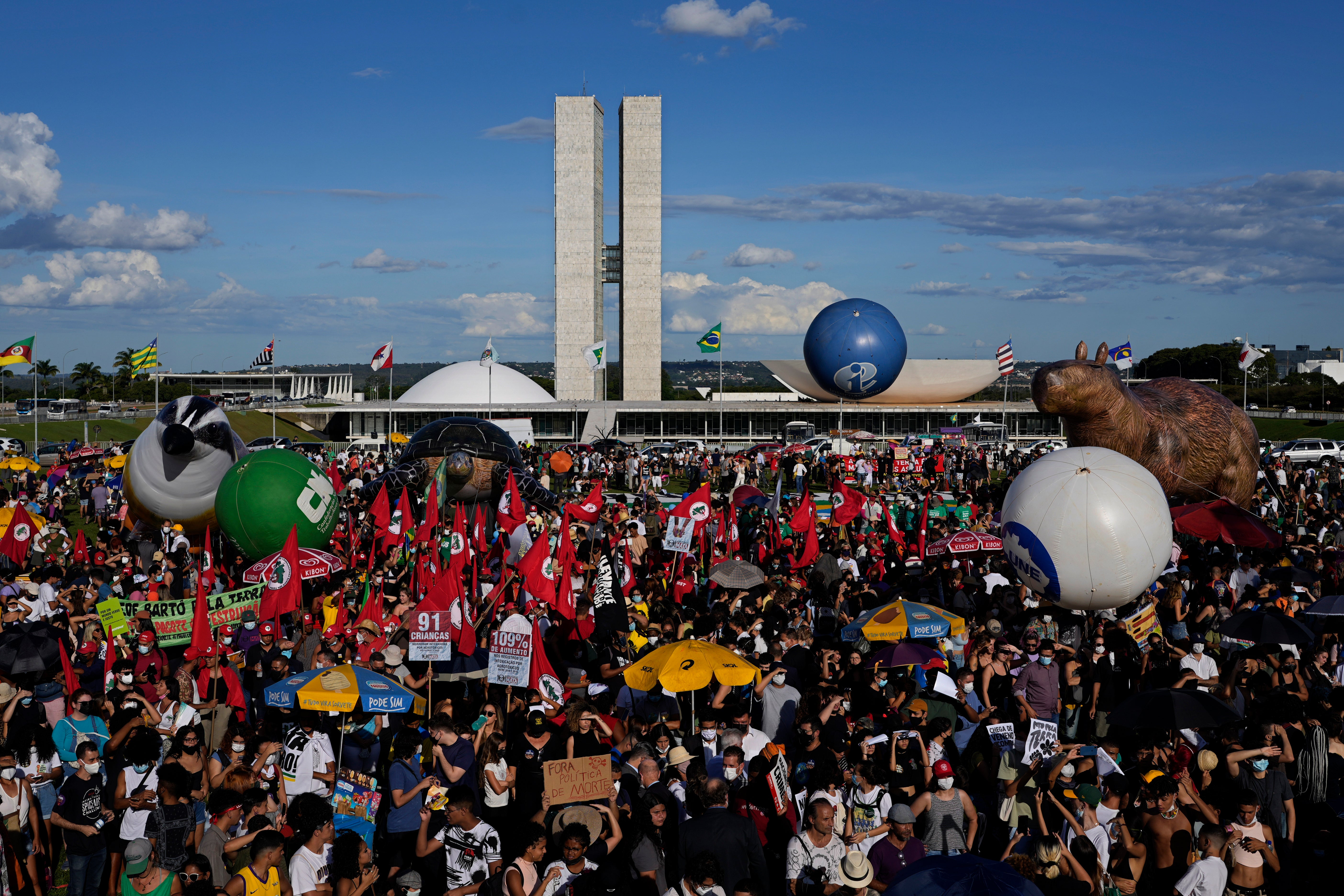 Brazil Rainforest Demonstration