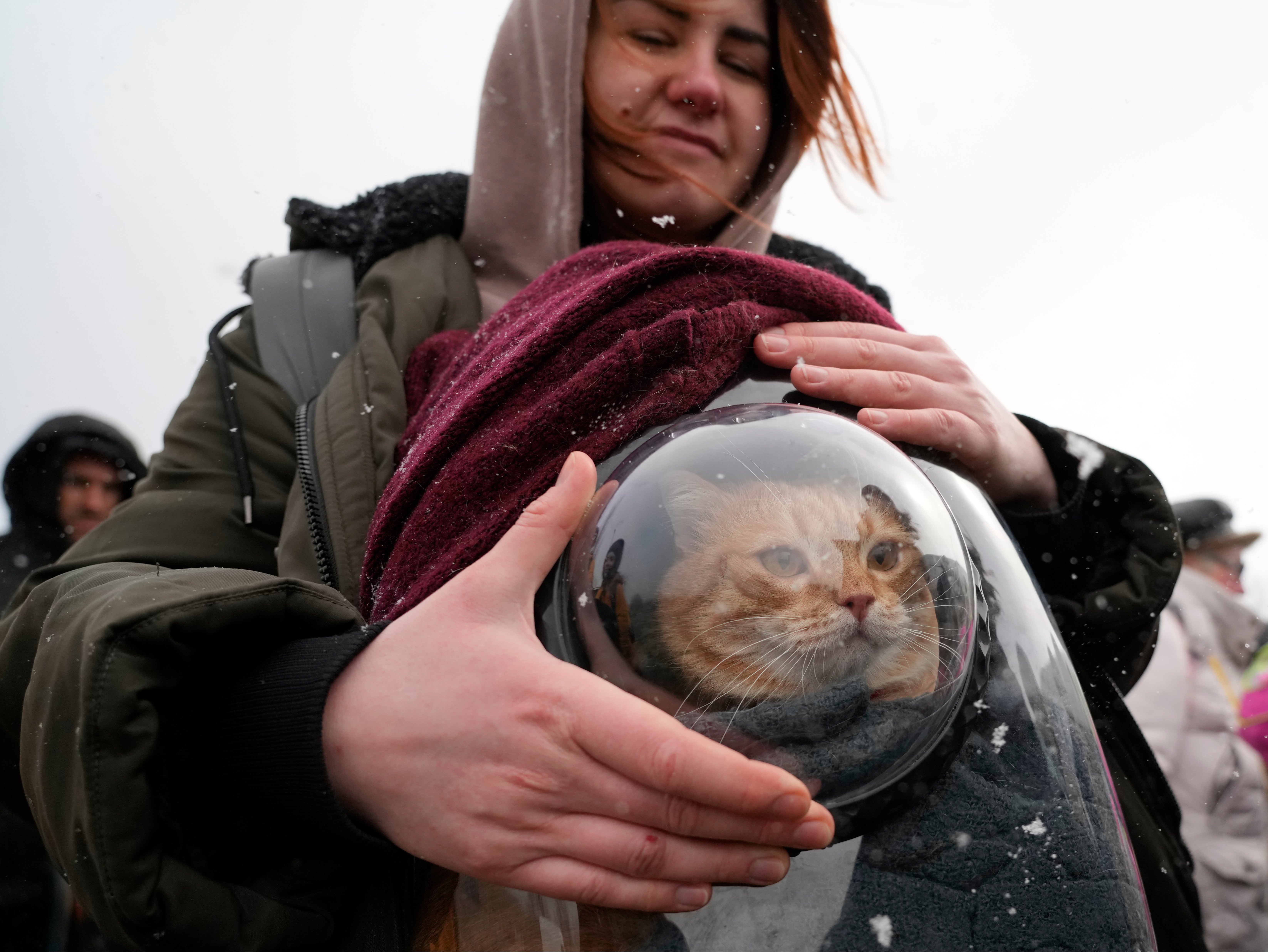 Nina, 26, and her cat fled to Moldova