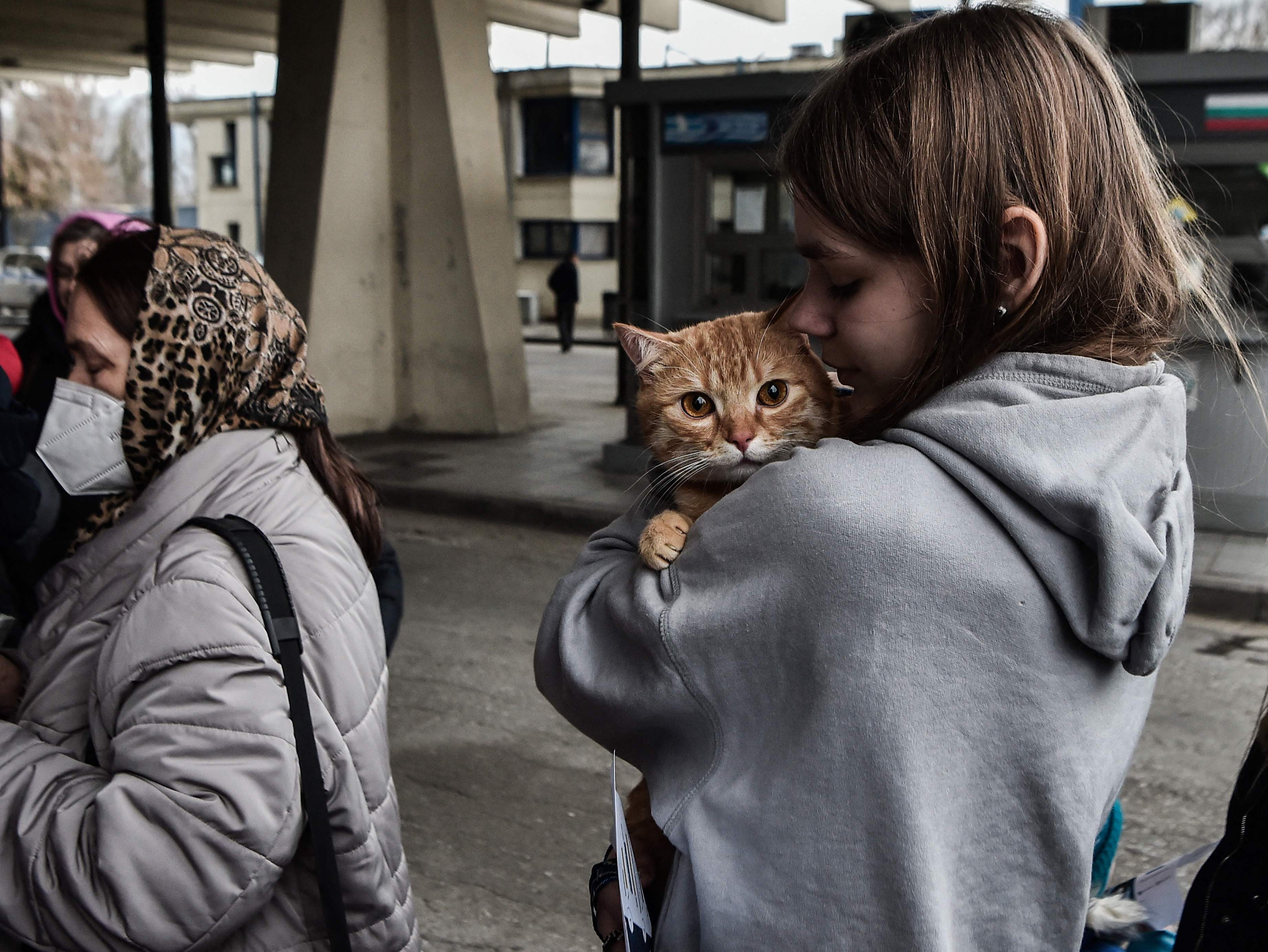 Thousands of refugees have taken their cats and dogs with them to safety